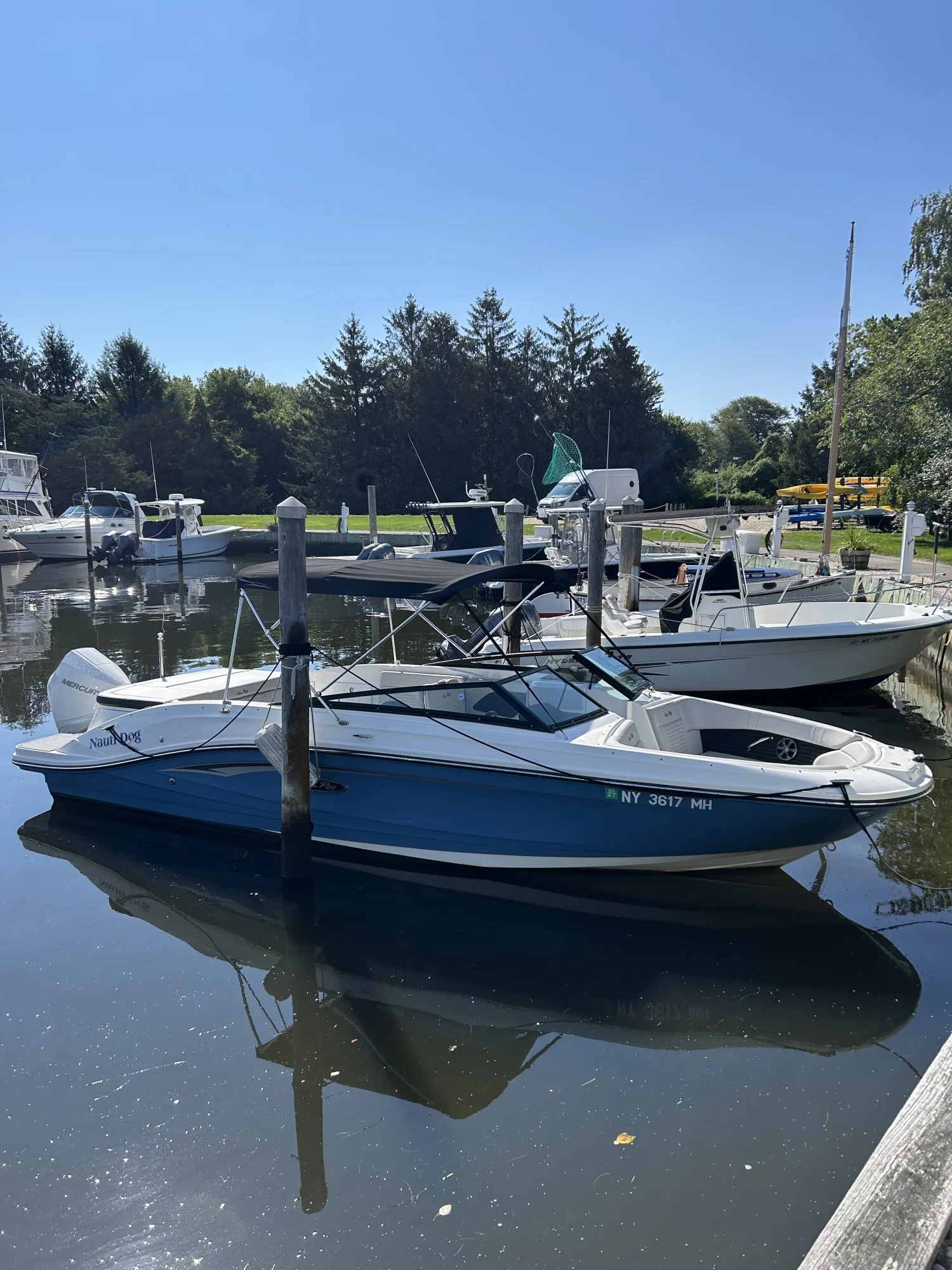 2021 Sea Ray SPX 230 Outboard - Main Image