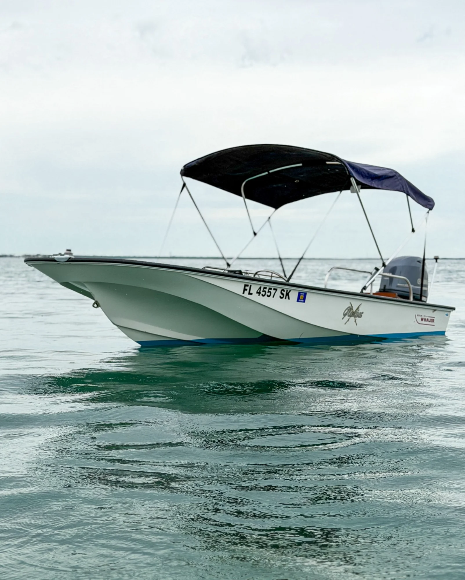 1983 Boston Whaler 15 - Image 5