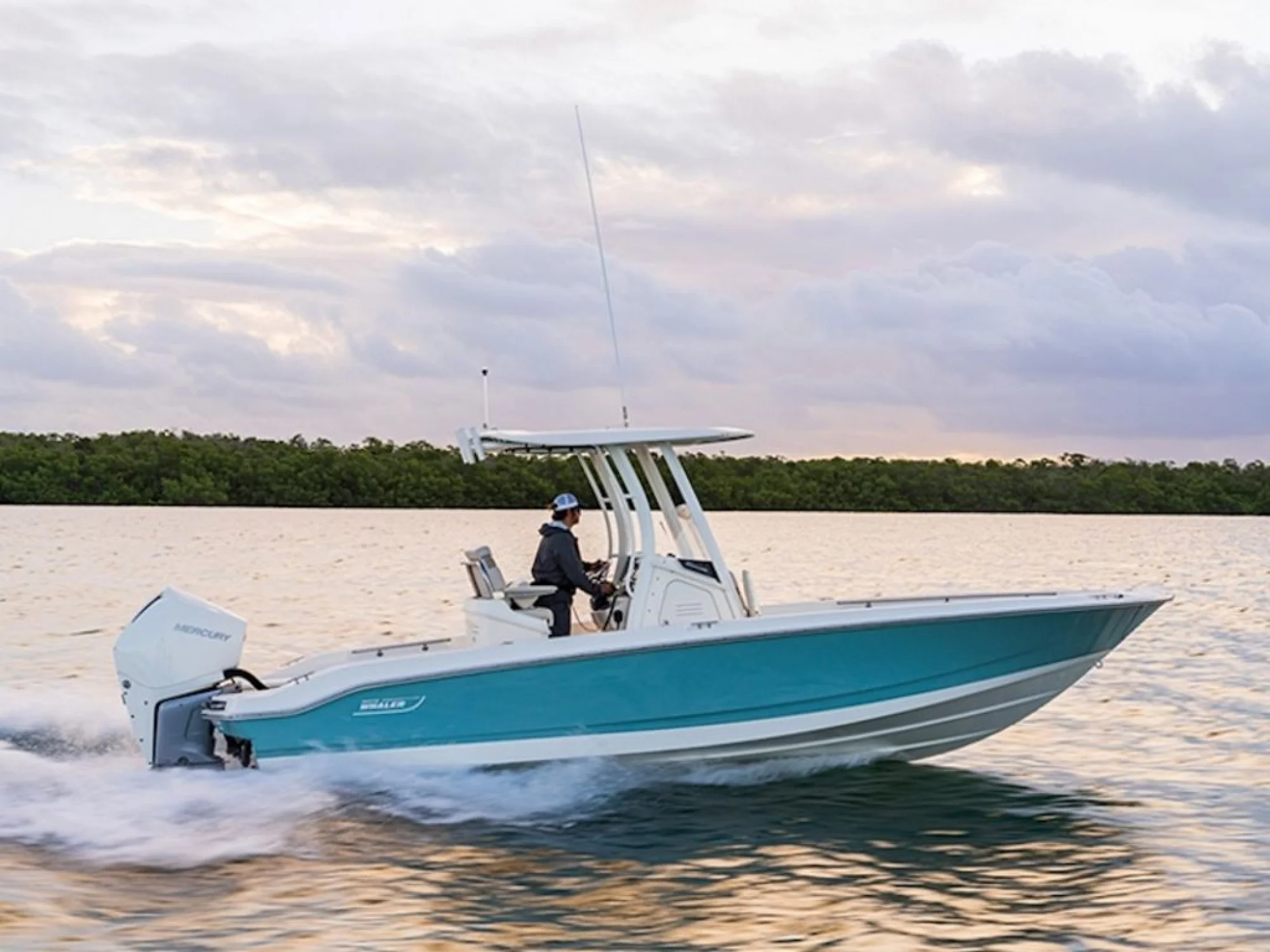 Boston Whaler 250 Dauntless - Image 3