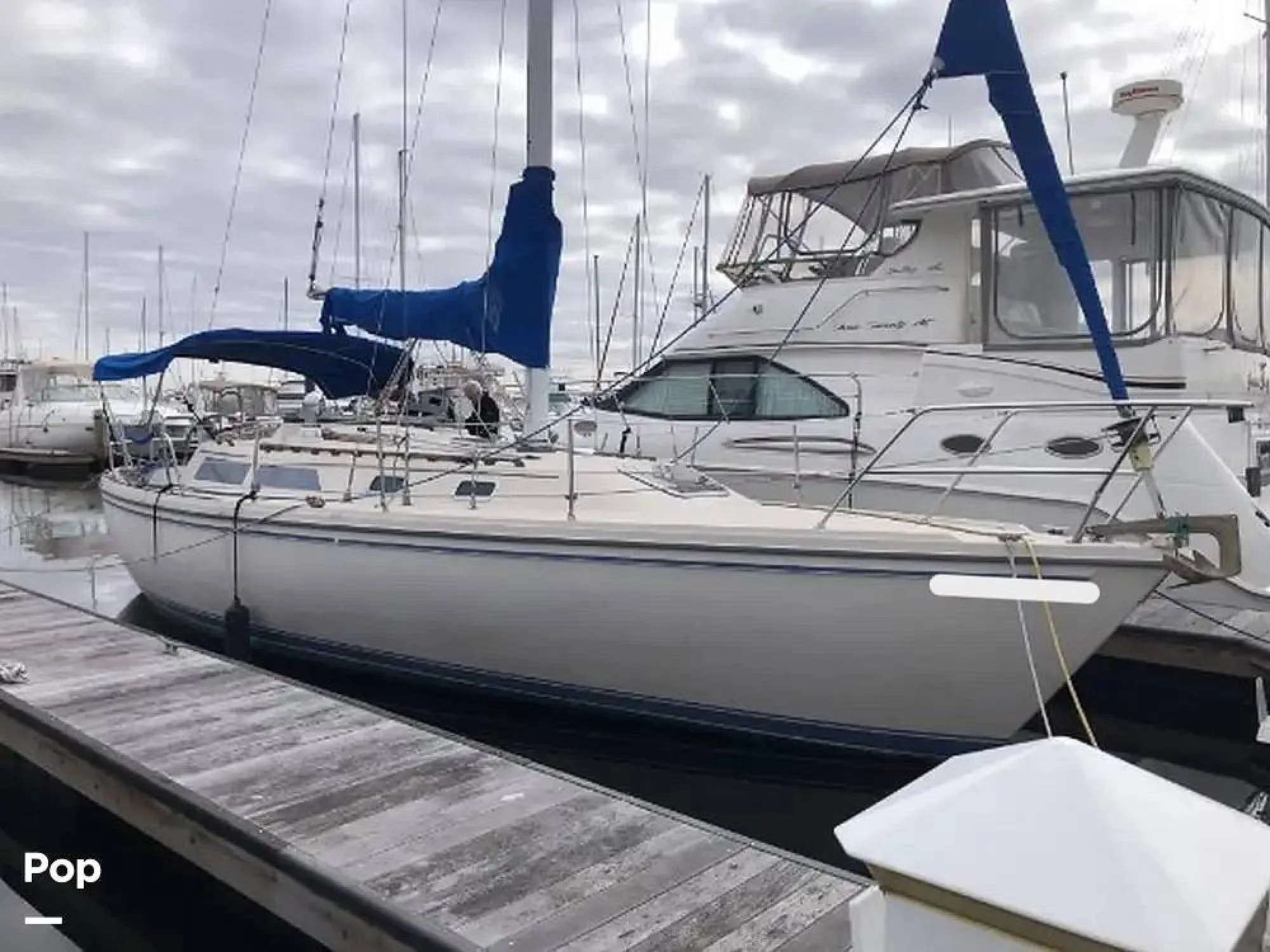 1987 Catalina 36 - Image 2