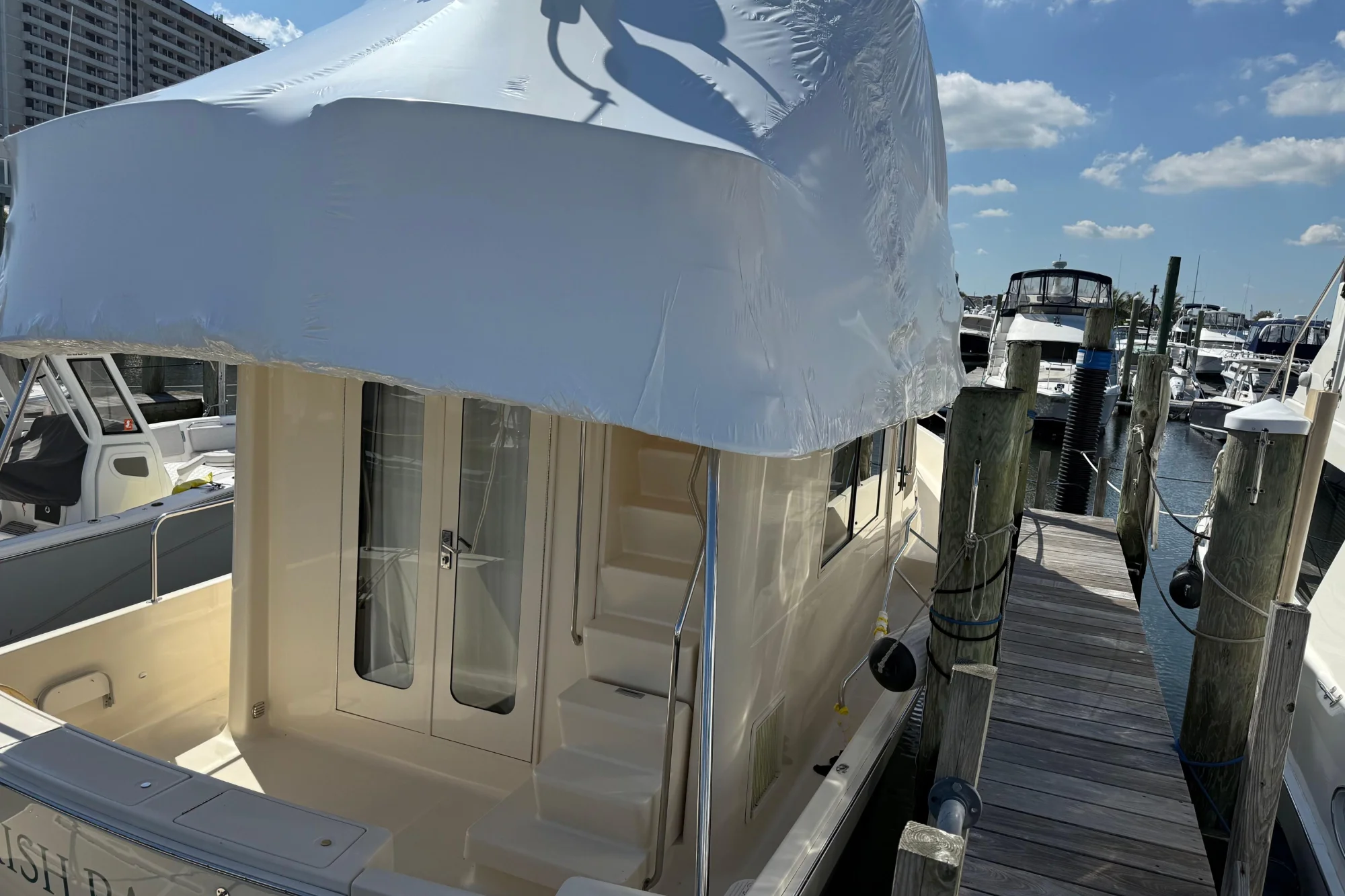 New arrival - Image 4