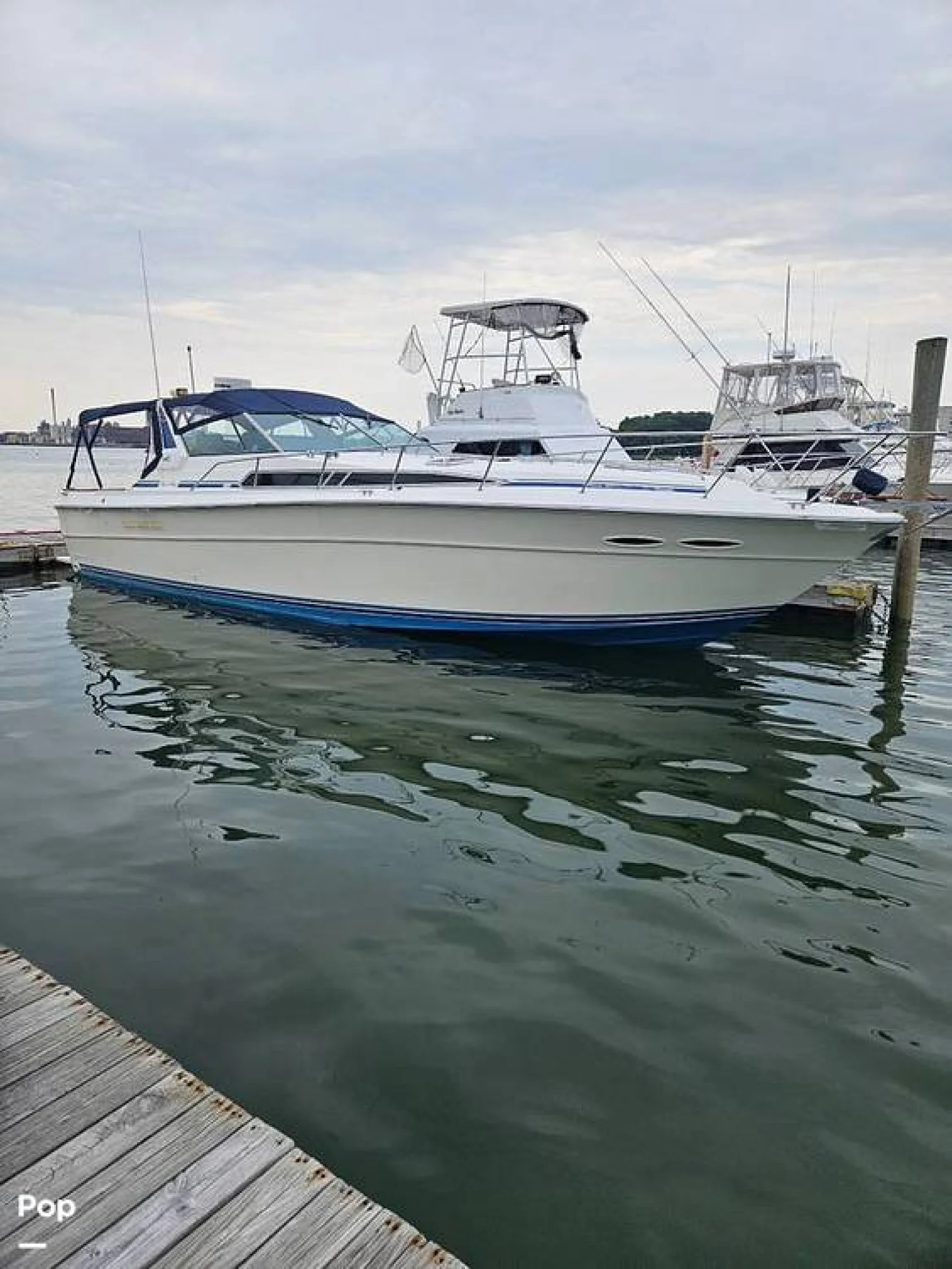 1987 Sea Ray 390 EC - Main Image