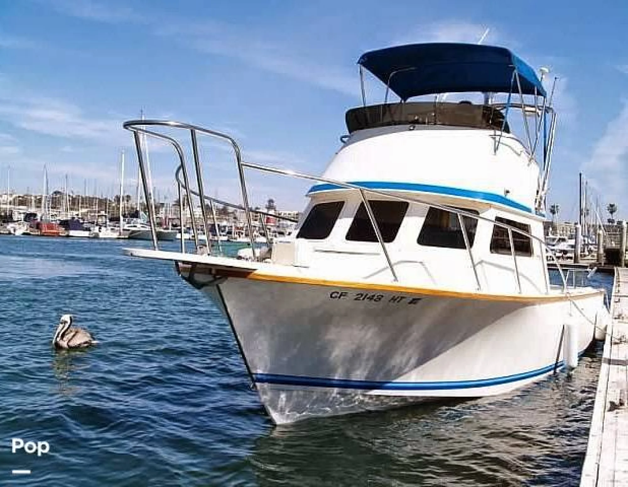 1985 Blackman Billfisher - Image 2