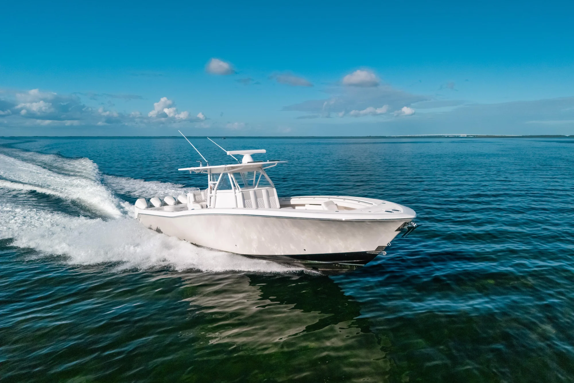 New arrival - Image 4