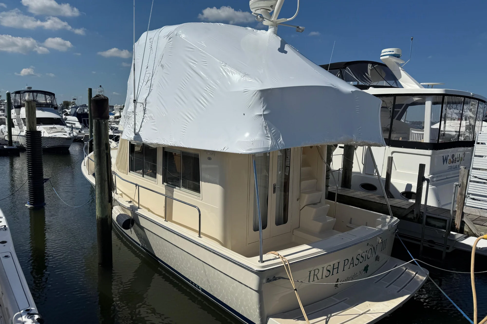 New arrival - Image 3