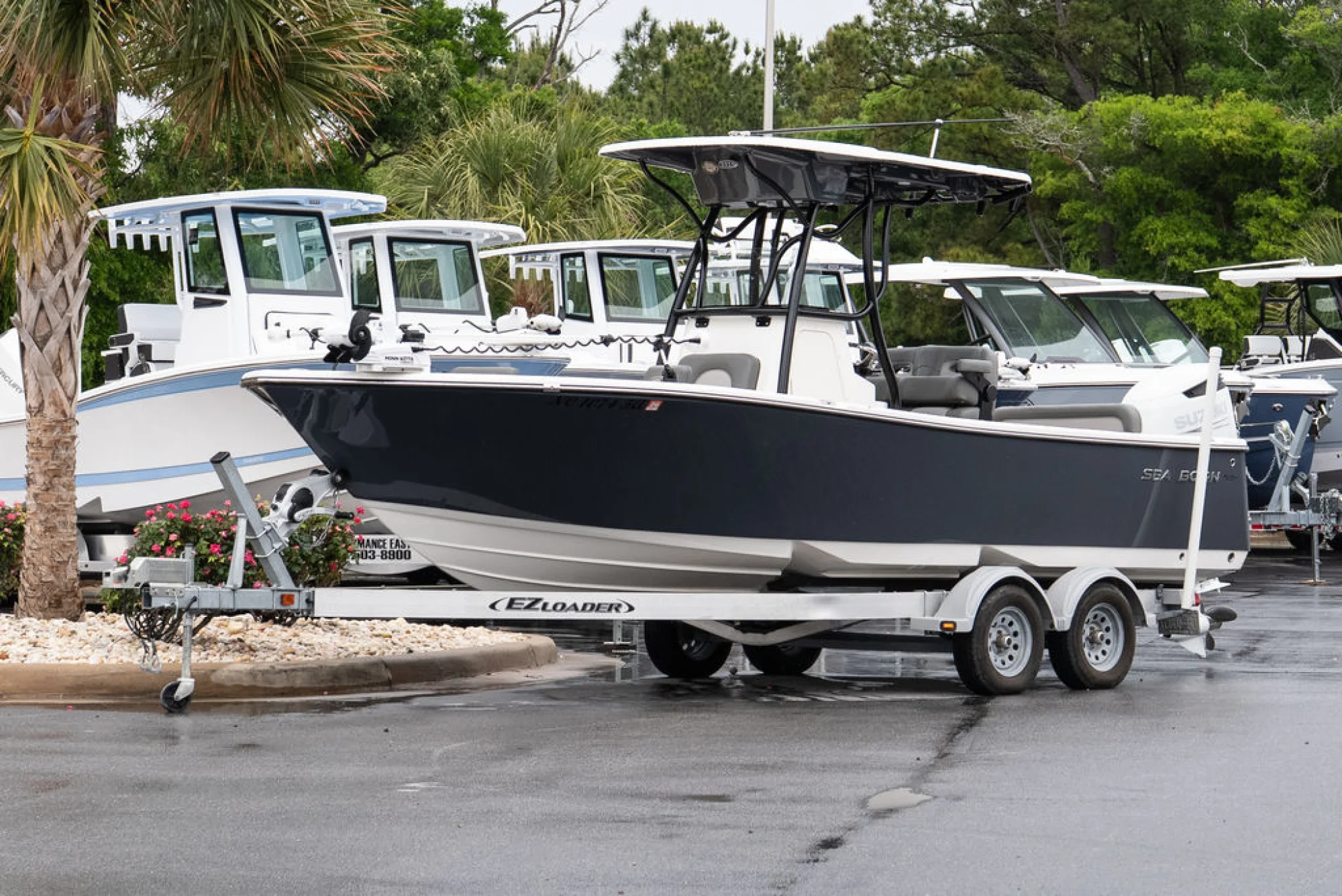 Sea Born LX24 - Image 2
