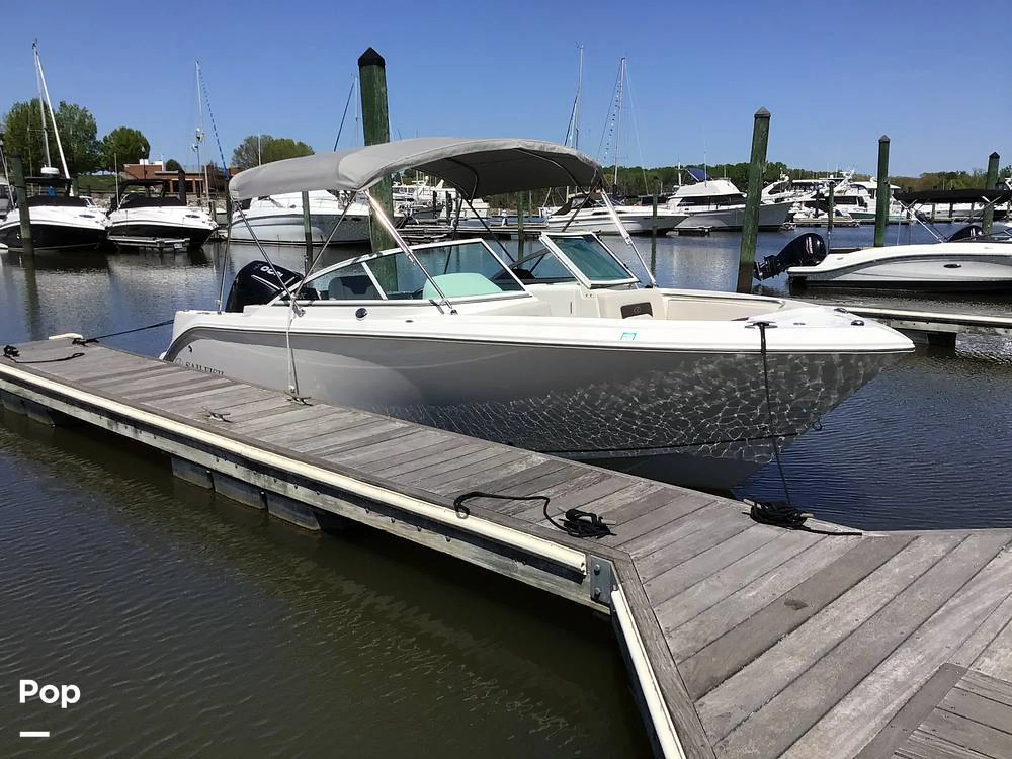 2024 Sailfish 226 DC - Main Image