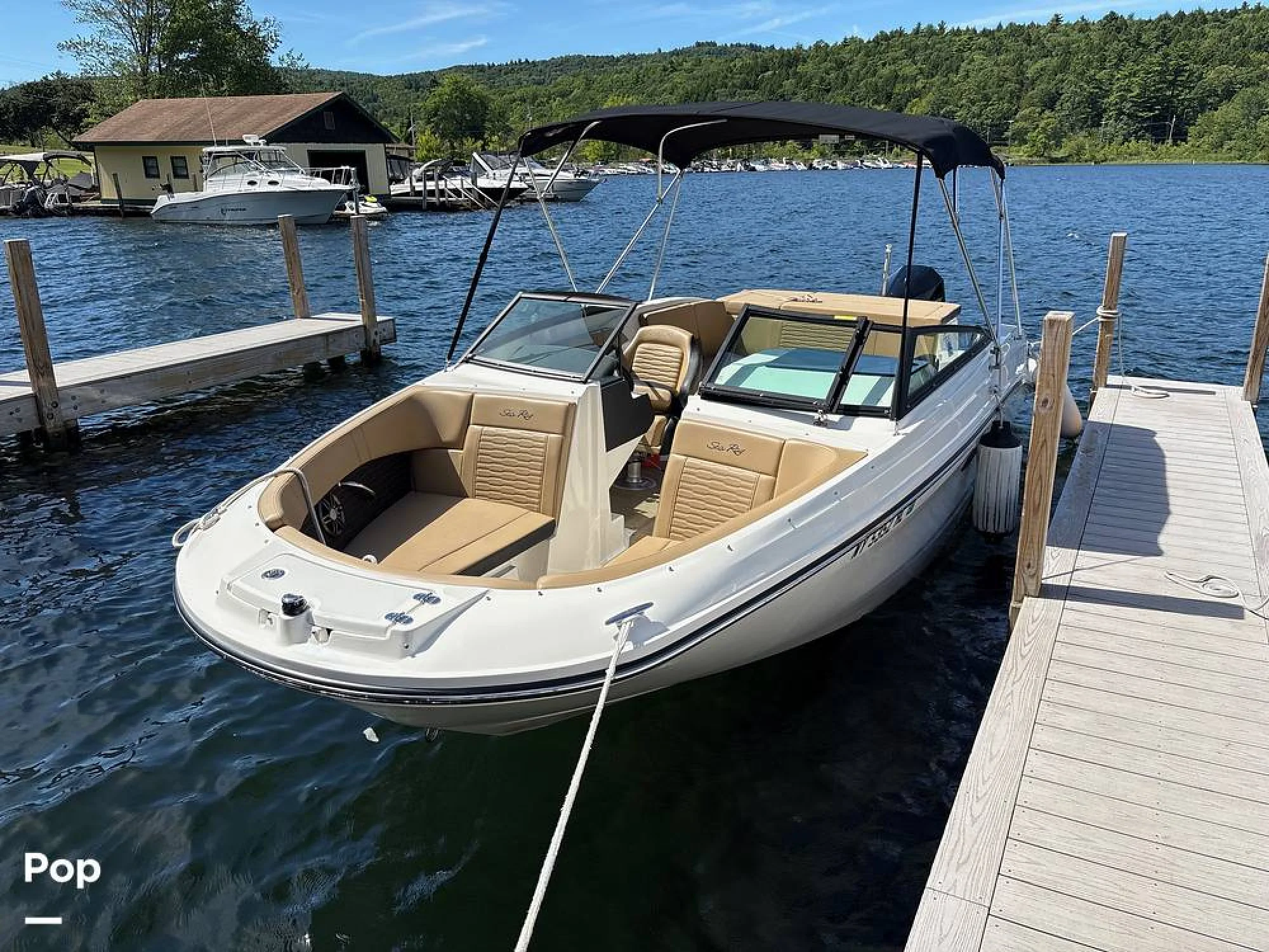 2024 Sea Ray SPX 230 OB - Main Image