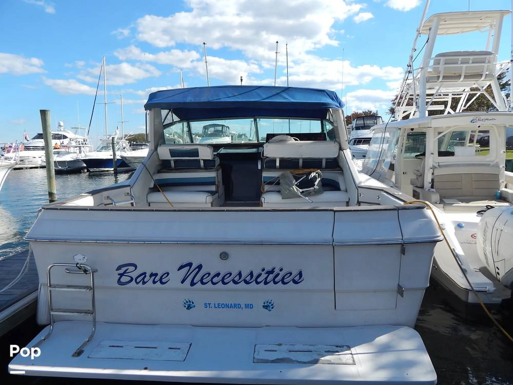 1986 Sea Ray 390 Express Cruiser - Image 2