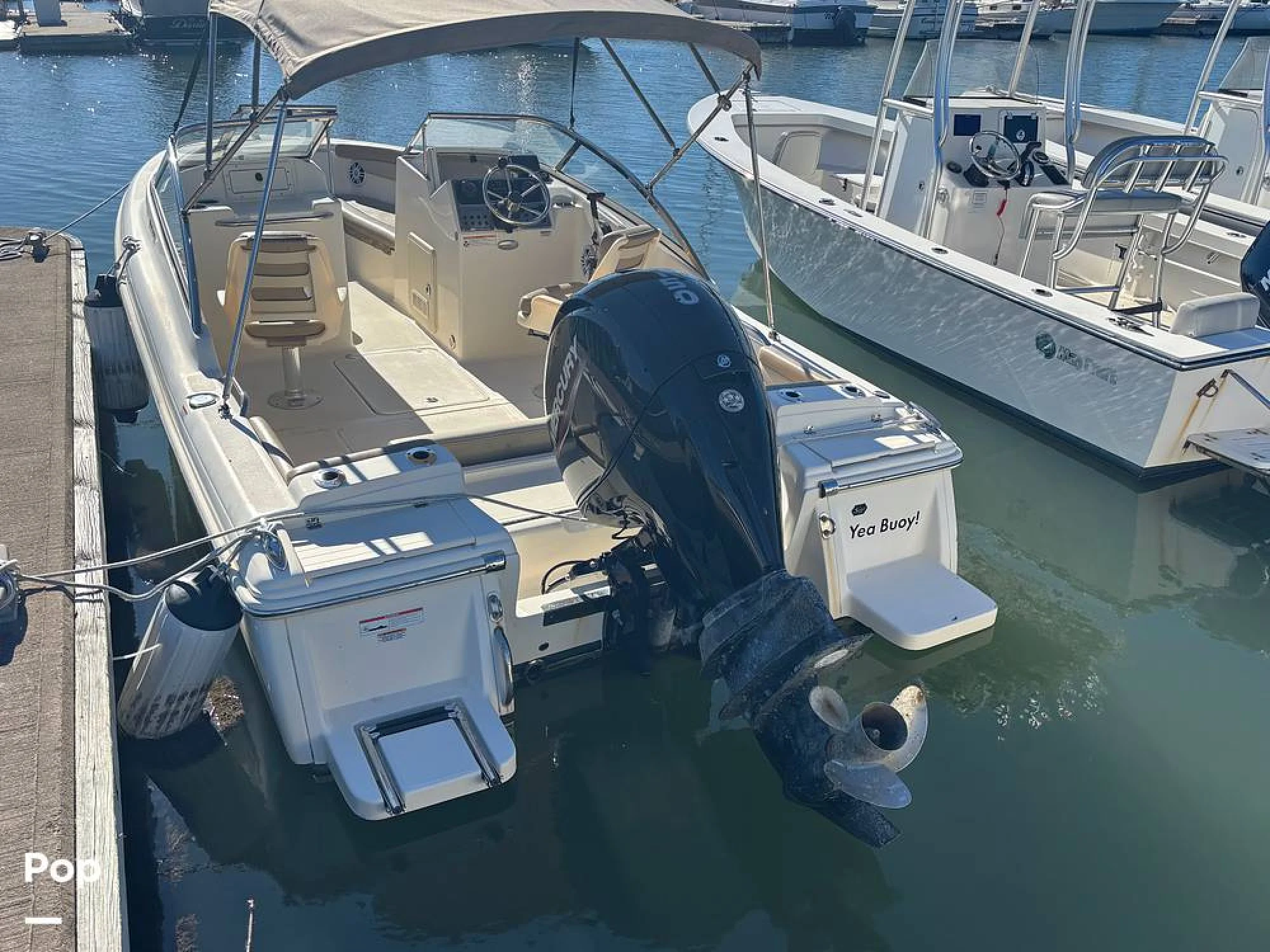 2023 Scout 210 Dorado - Image 2