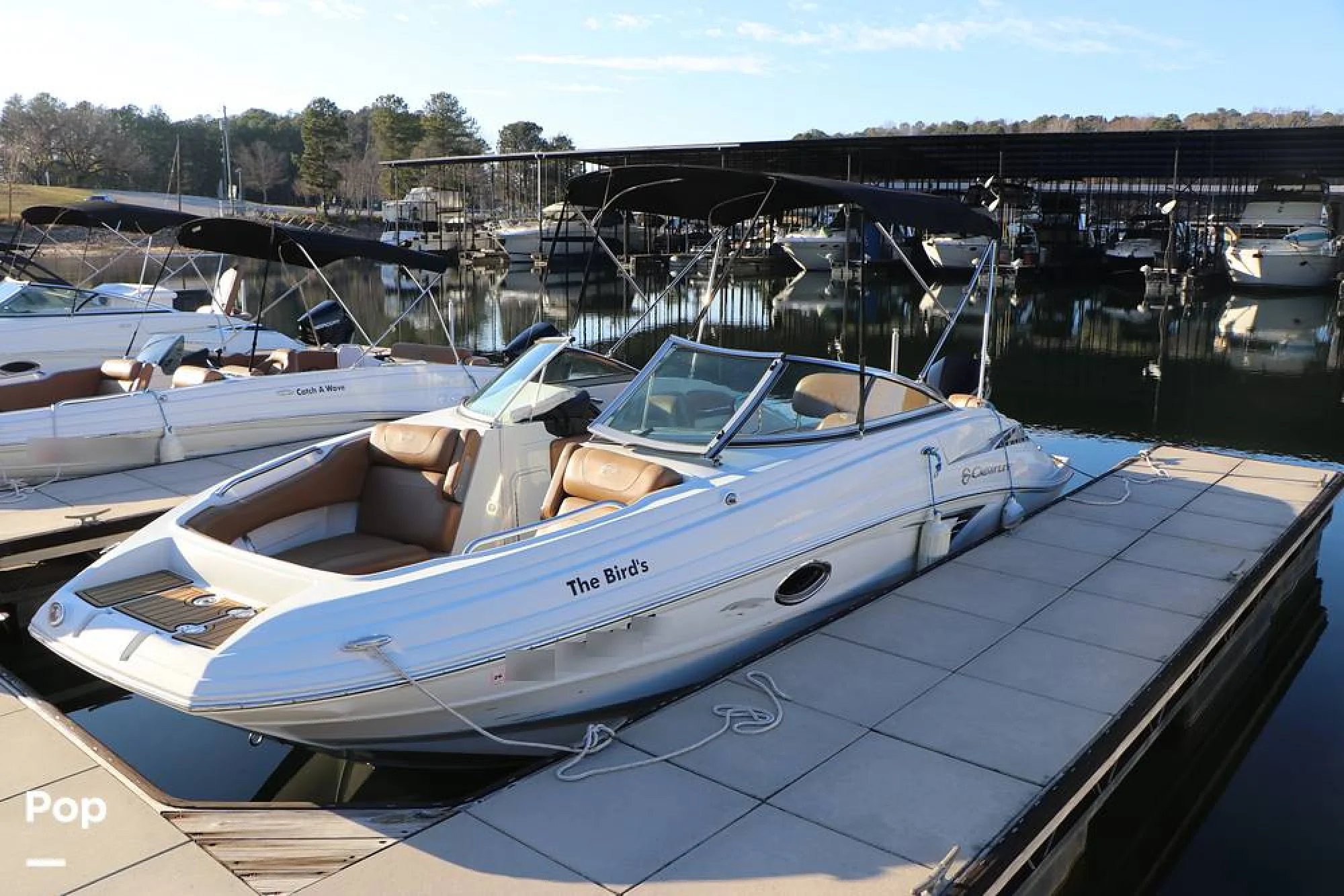 2023 Crownline E235 XS - Main Image