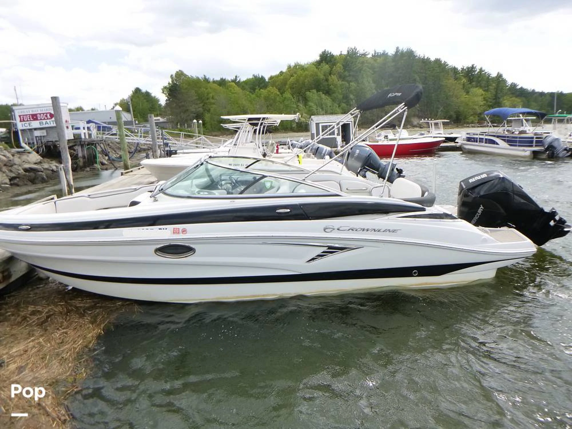 2023 Crownline 250 XSS