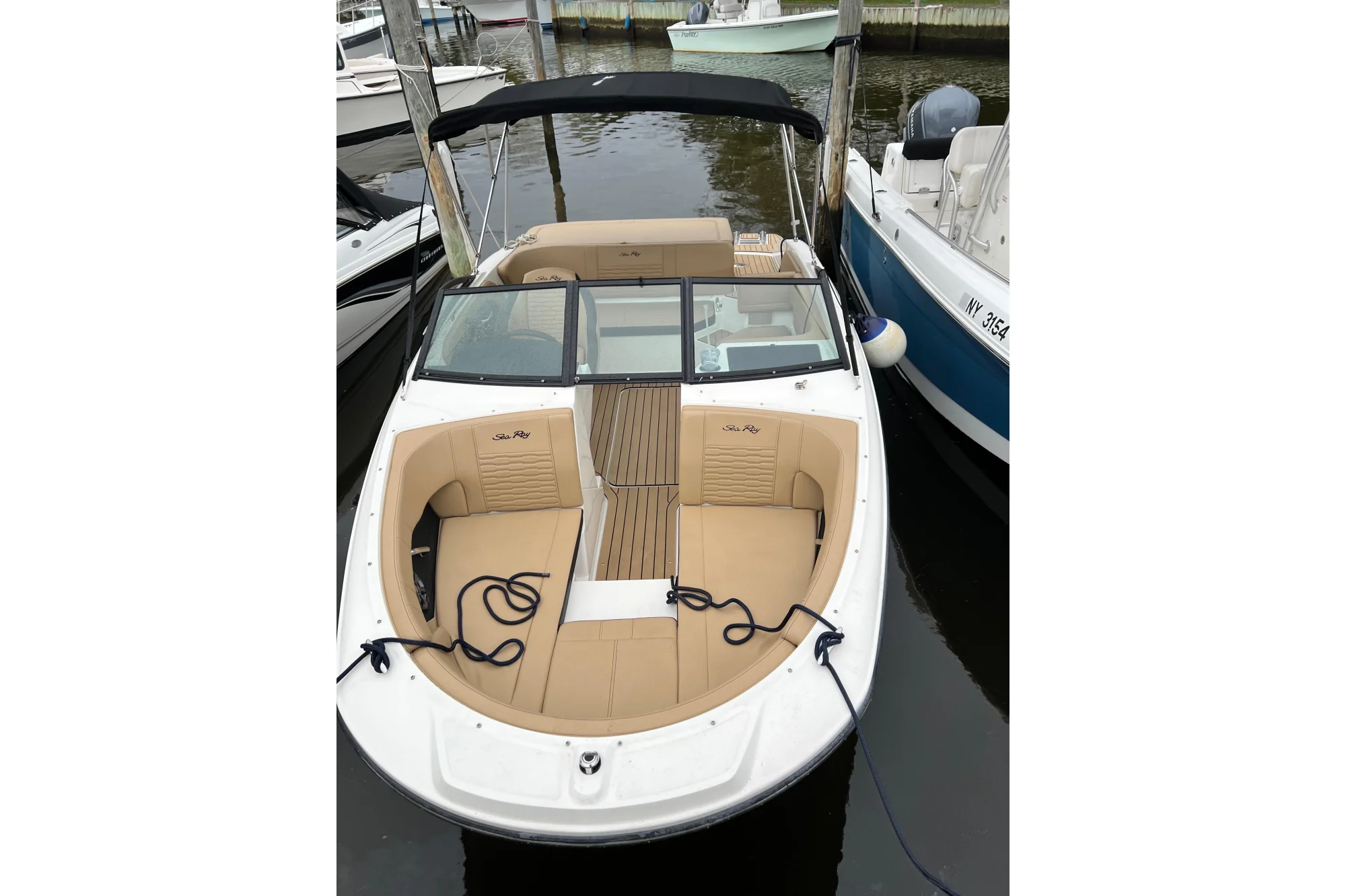 2021 Sea Ray SPX 190 - Image 3