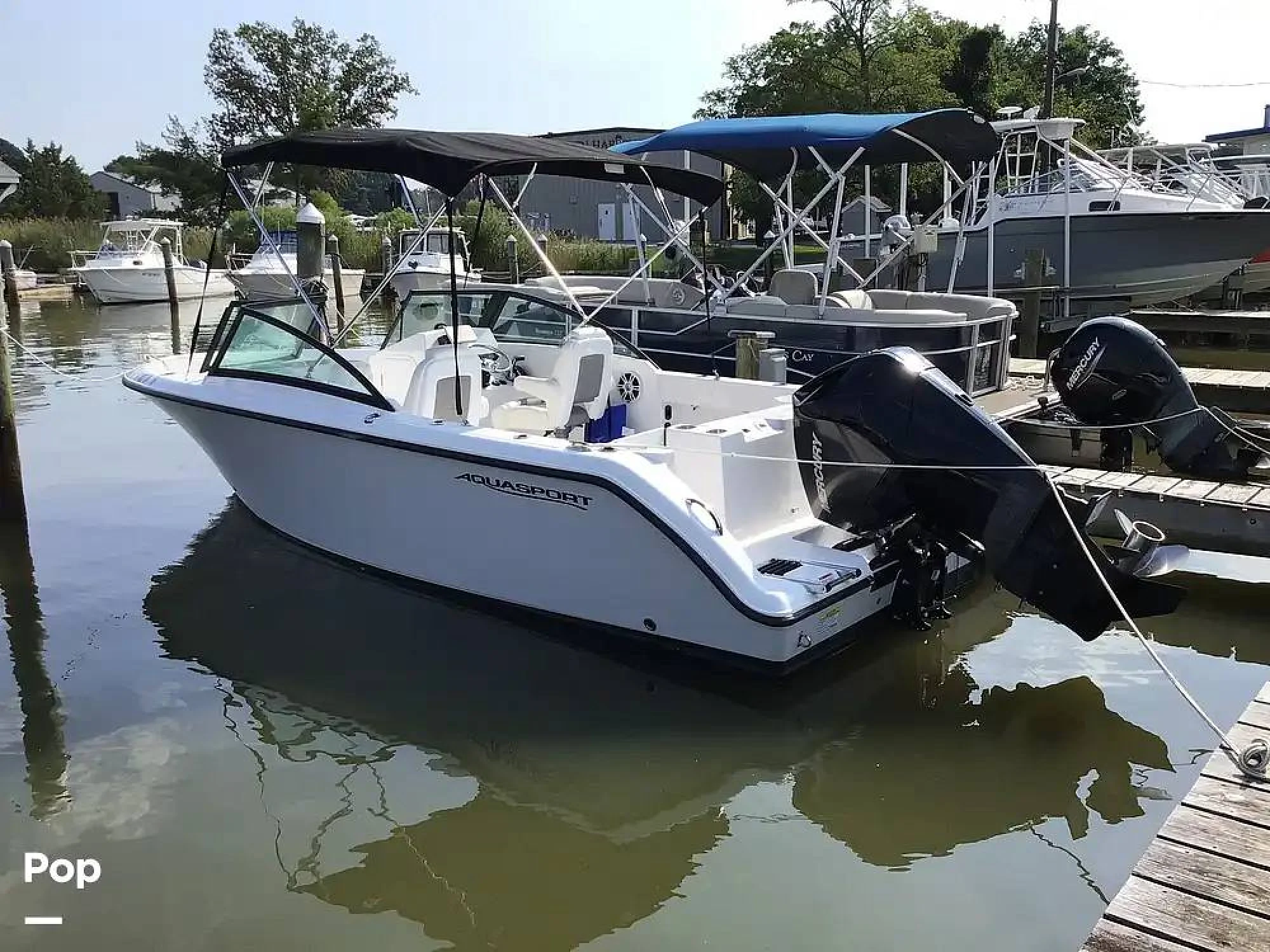 2024 Aquasport 220 DC - Image 3