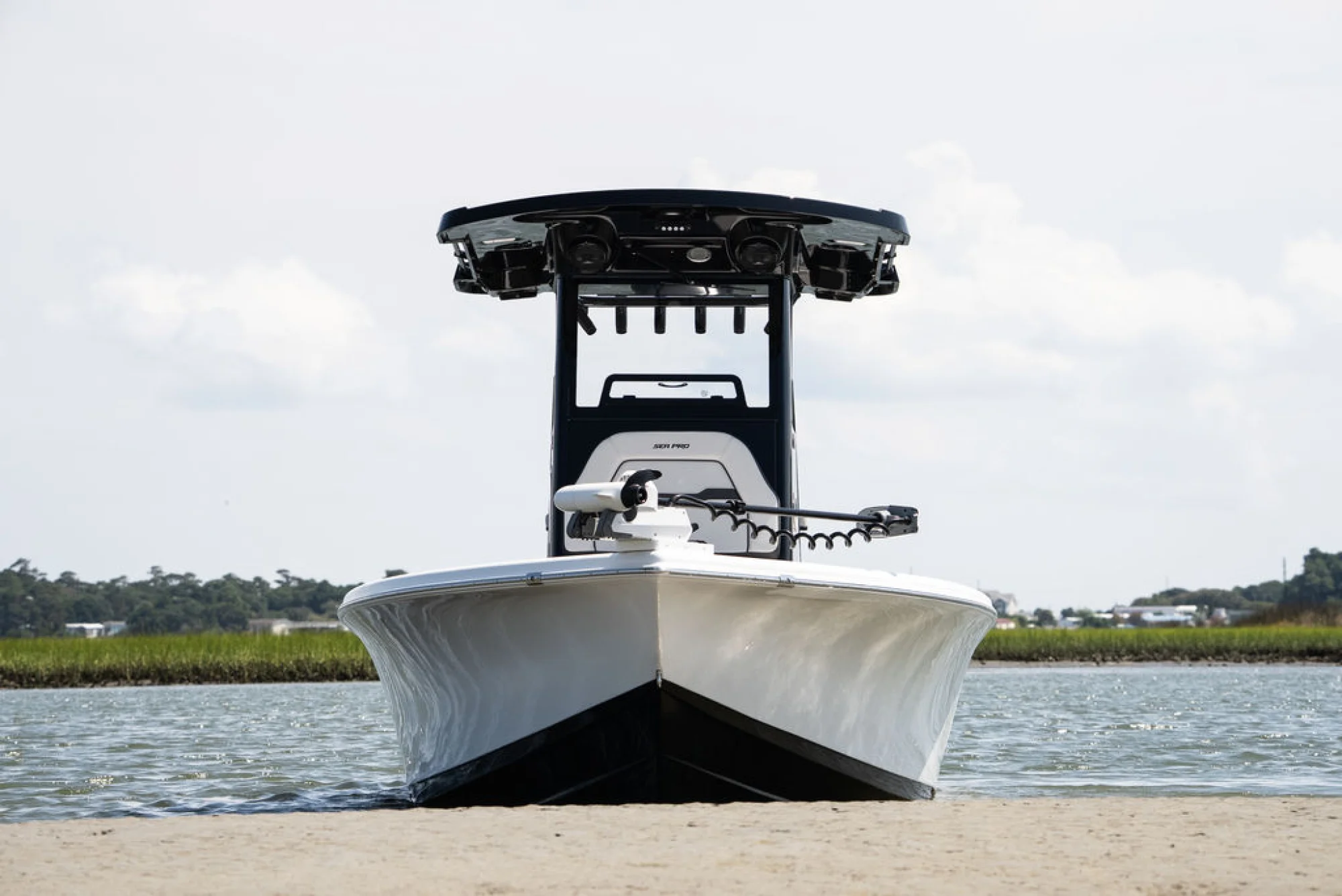 Sea Pro 250 DLX - Image 4