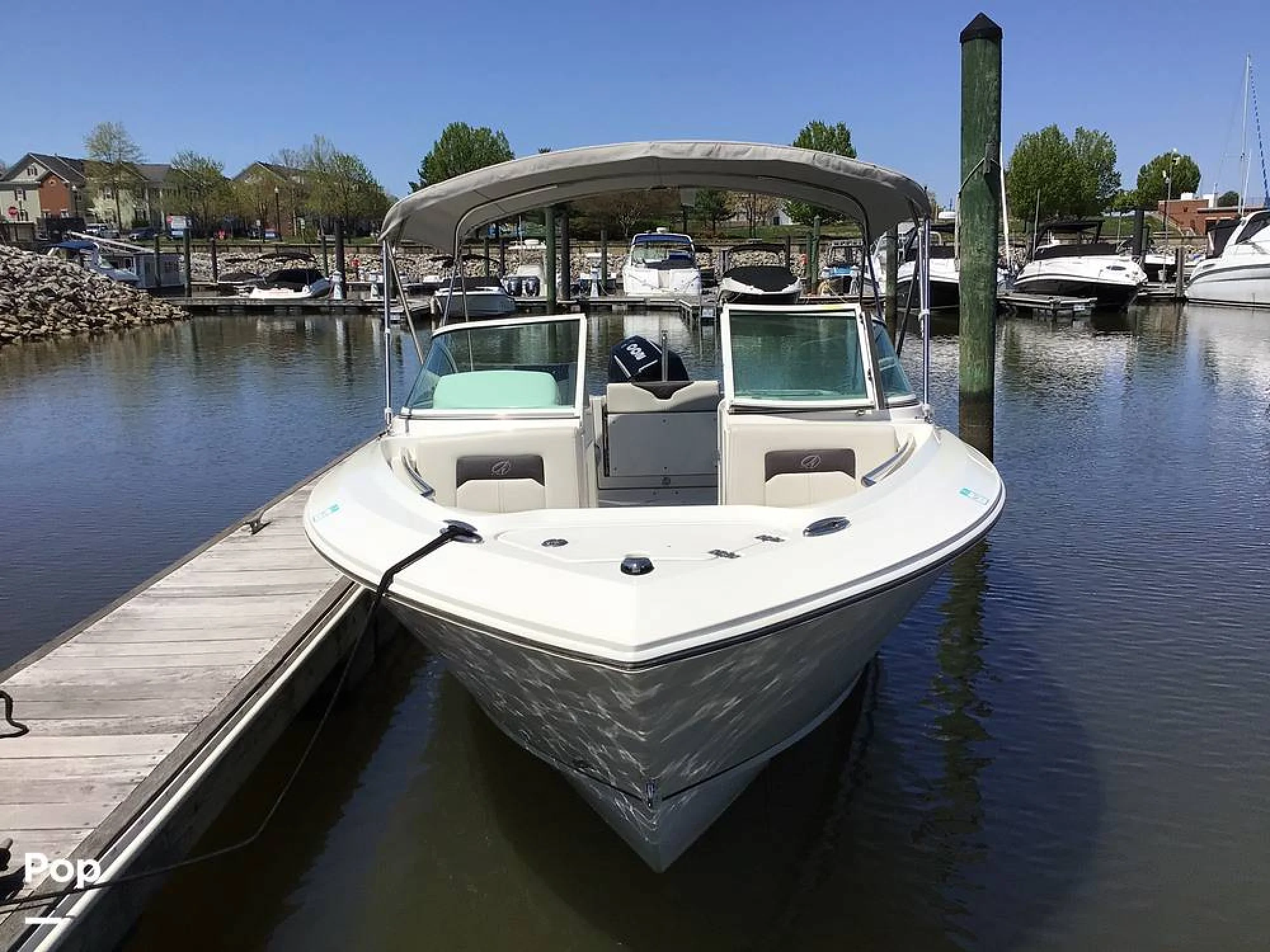 2024 Sailfish 226 DC - Image 3