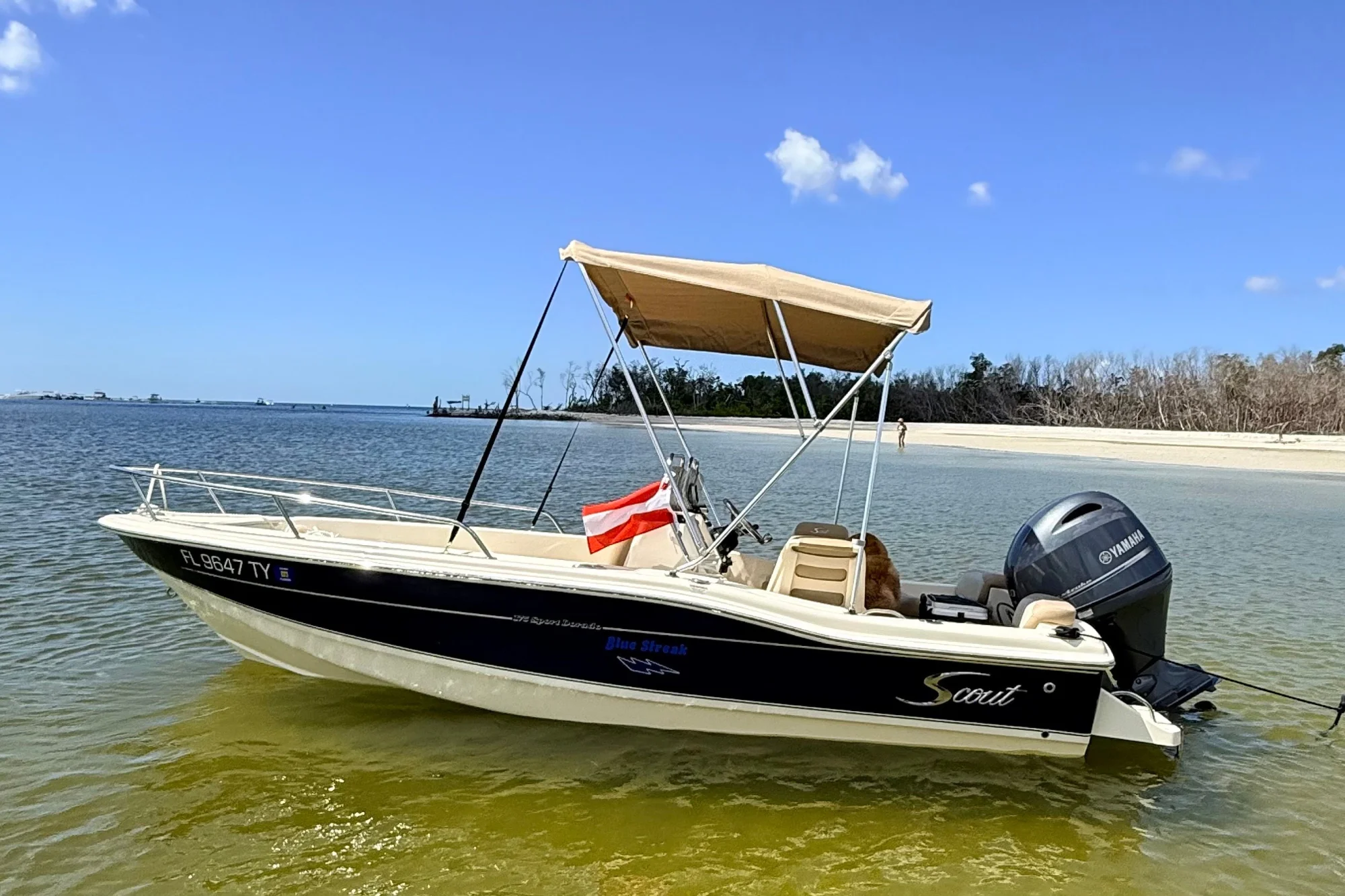 2024 Scout 175 Sport Dorado - Image 2
