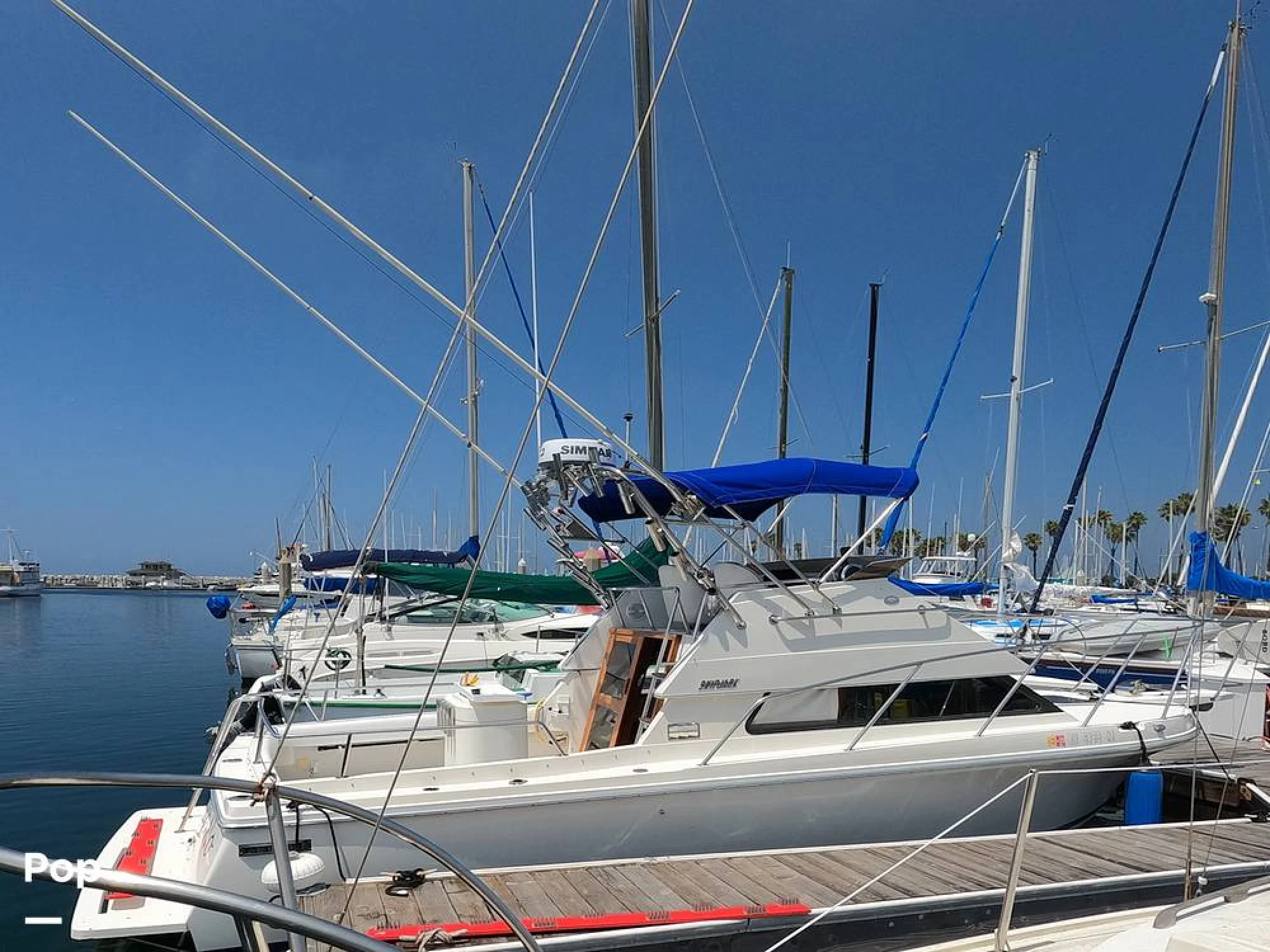 1994 Skipjack Flybridge 262 - Image 2