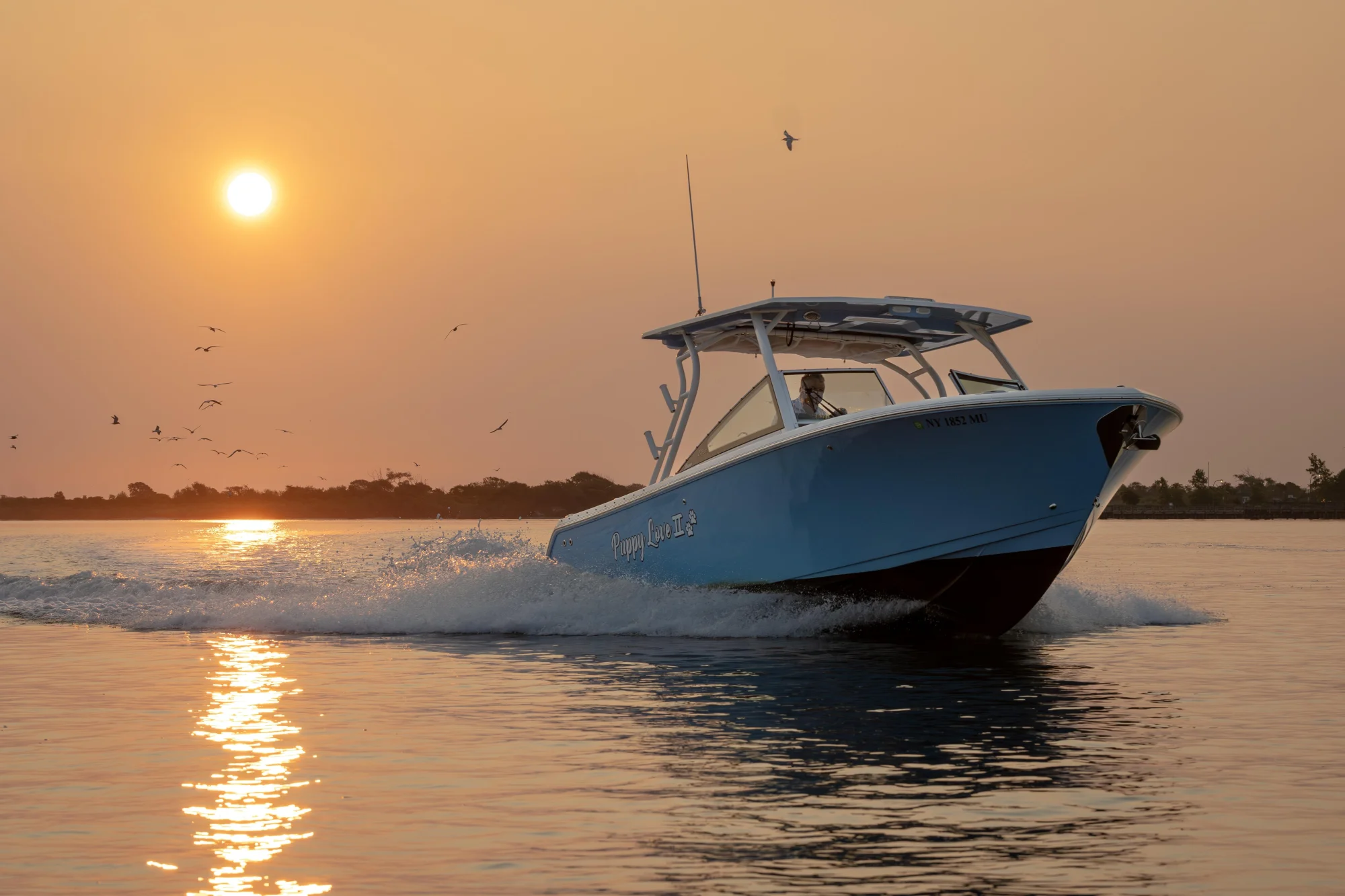 2024 Sailfish 276 DC - Image 2