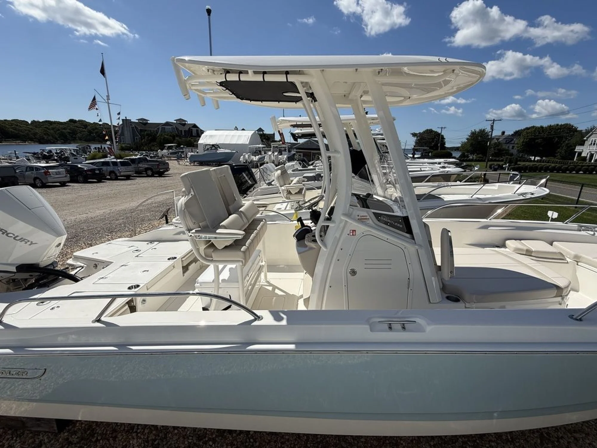 Boston Whaler 250 Dauntless - Image 2