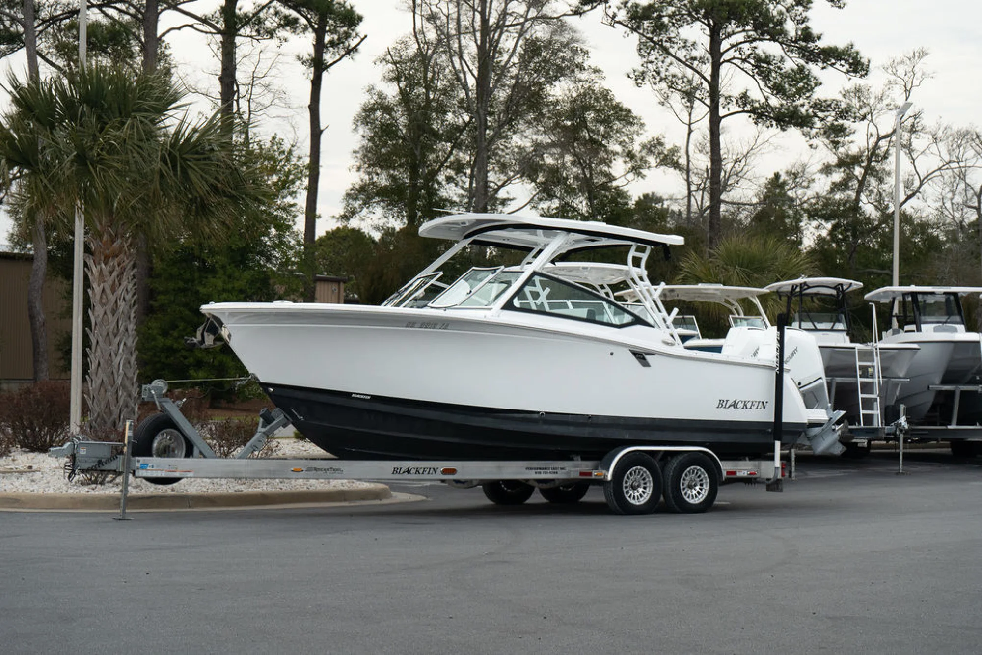 Blackfin 272DC - Main Image