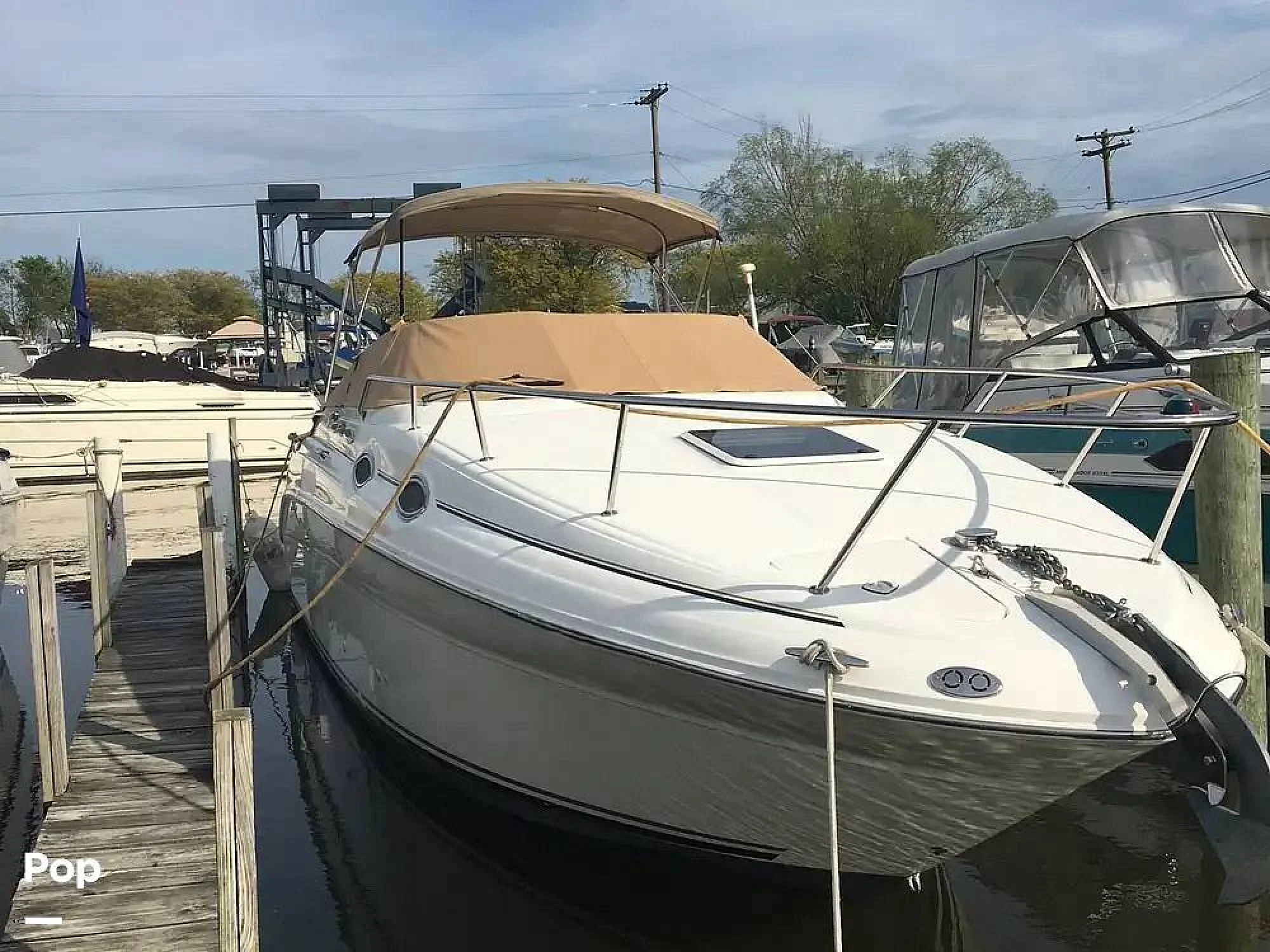 2001 Sea Ray 260 Sundancer - Image 3