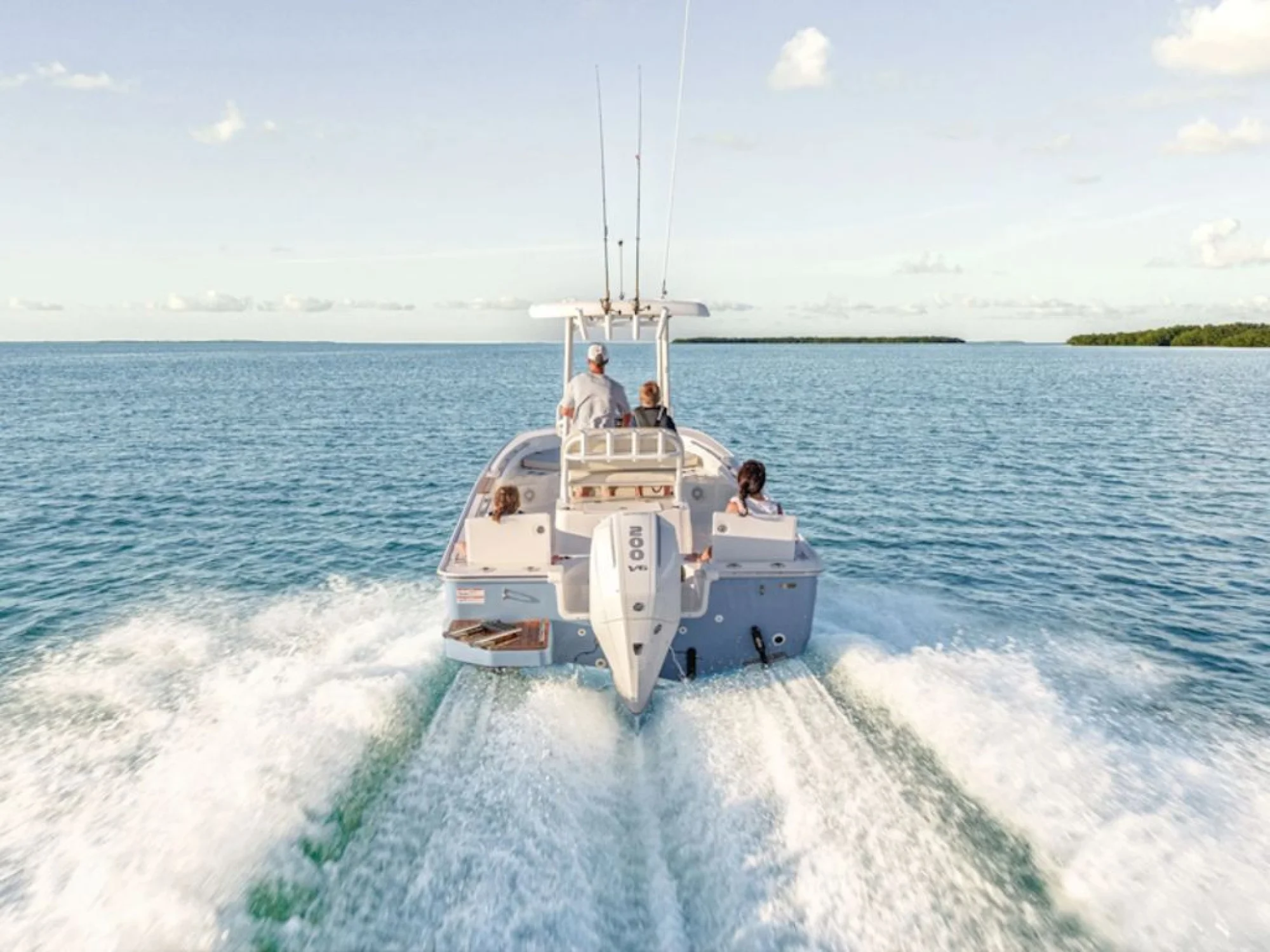 Boston Whaler 210 Montauk - Image 5