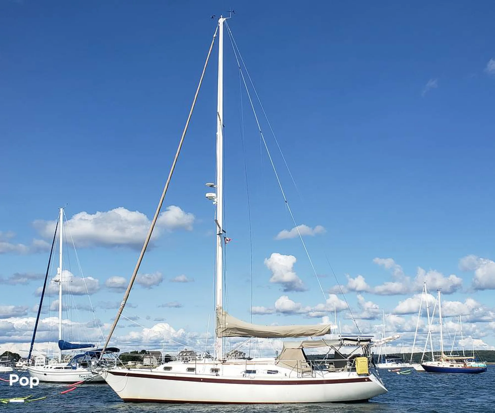 1981 Ericson Yachts 38 - Main Image