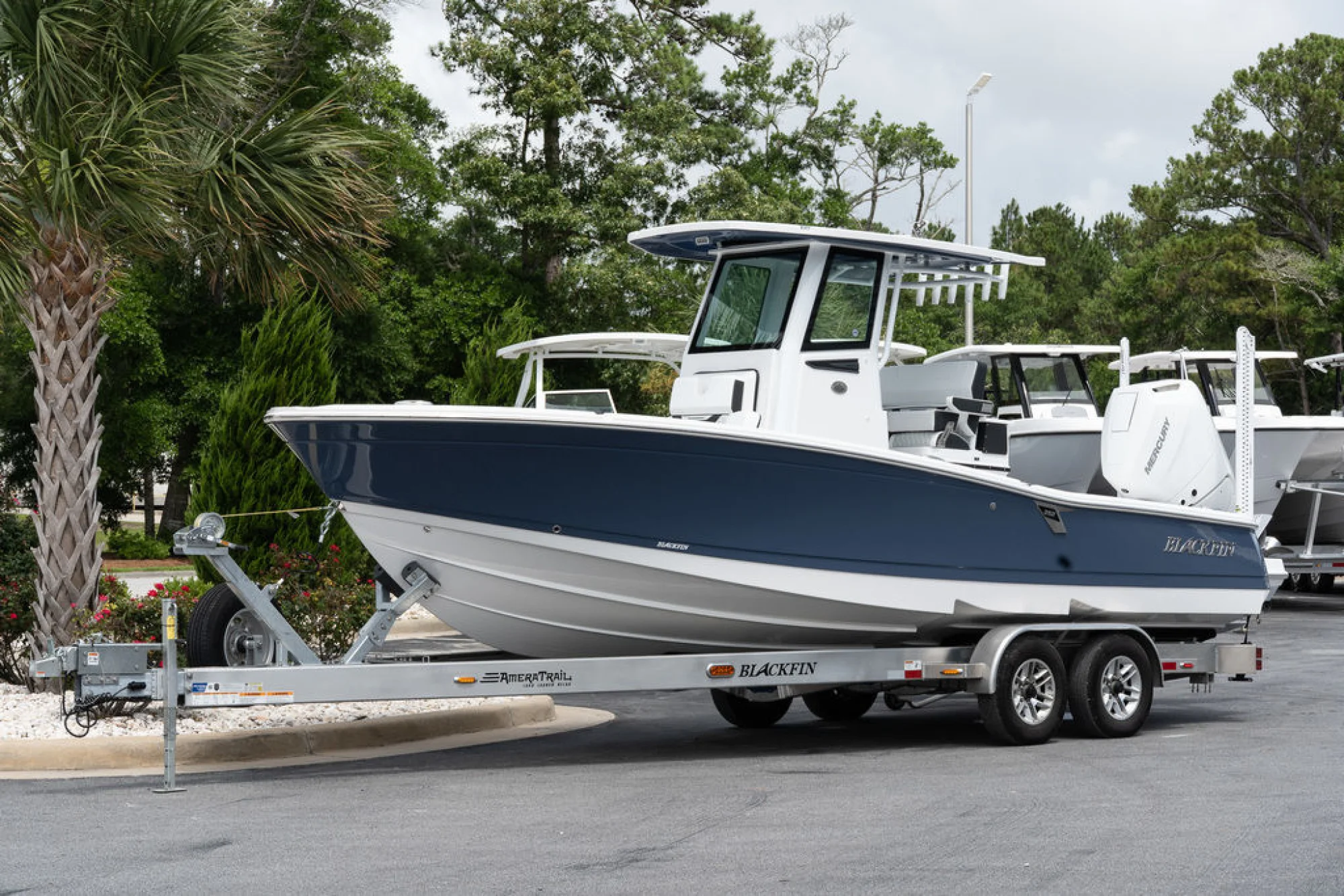 Blackfin 262HB - Image 2