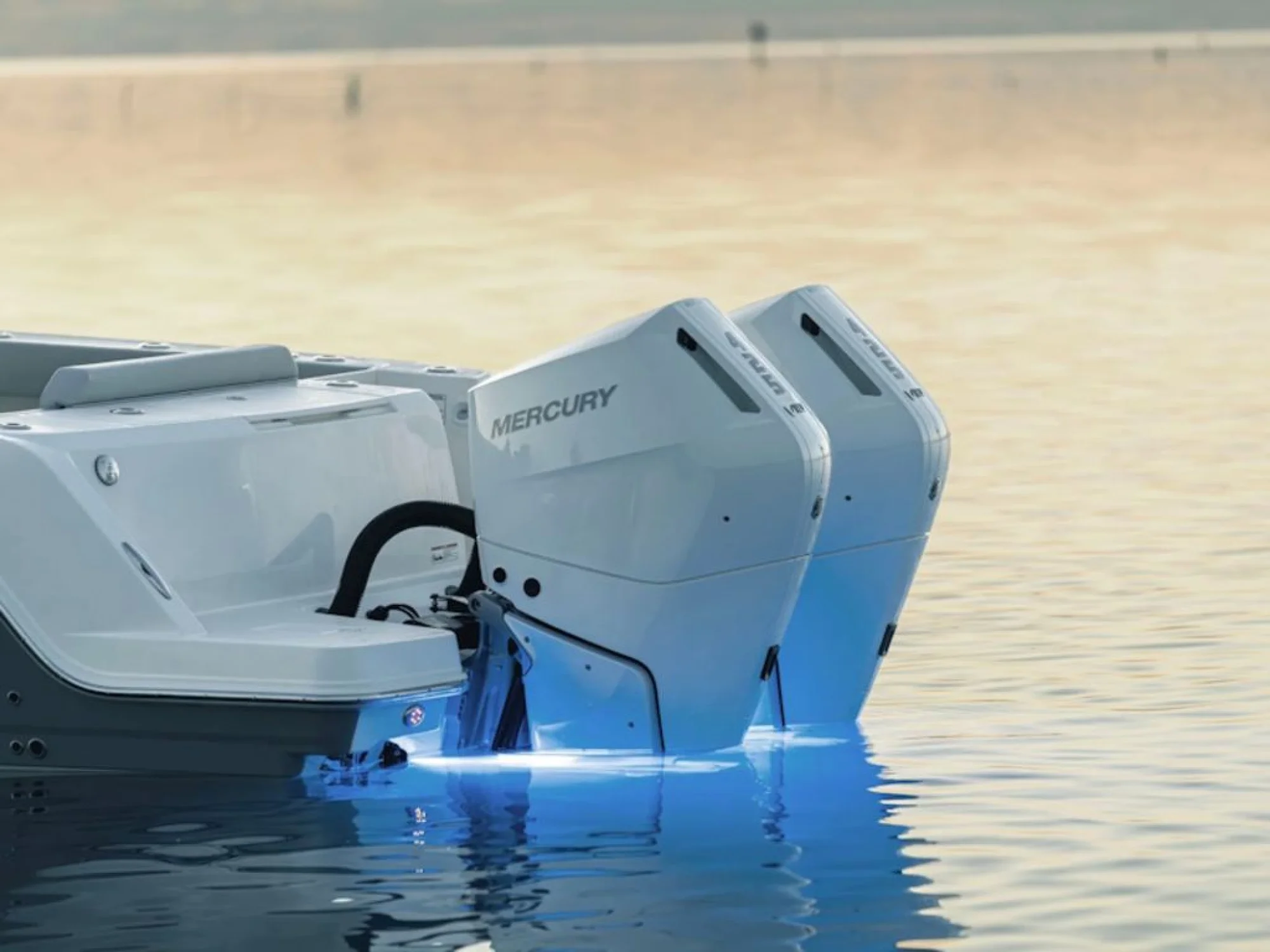 Boston Whaler 330 Outrage - Image 5