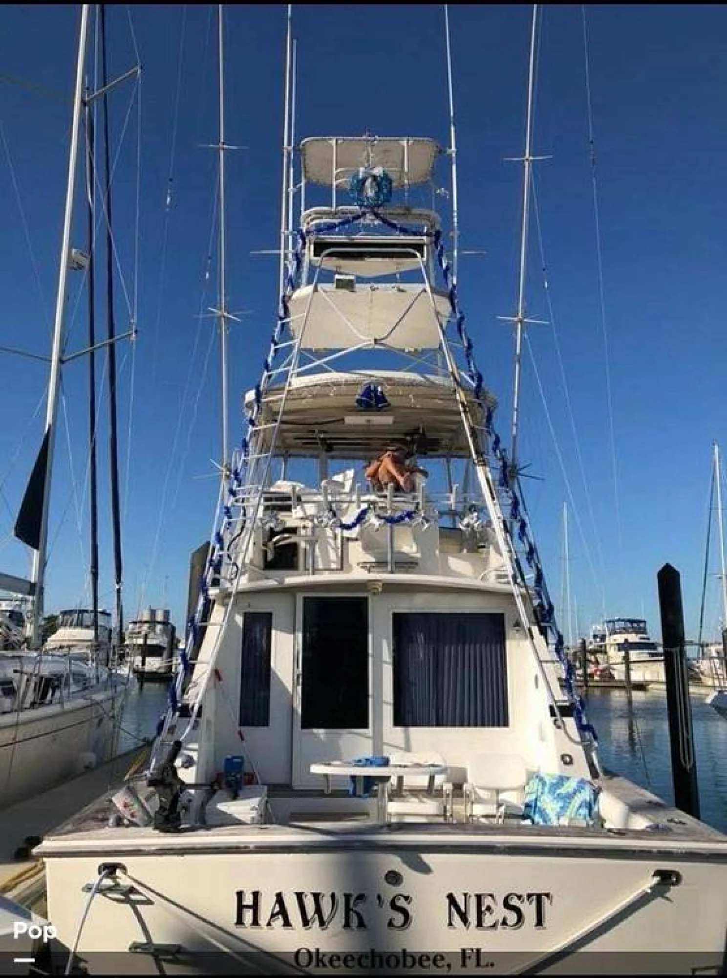 1981 Bertram 42 Sportfish - Image 4