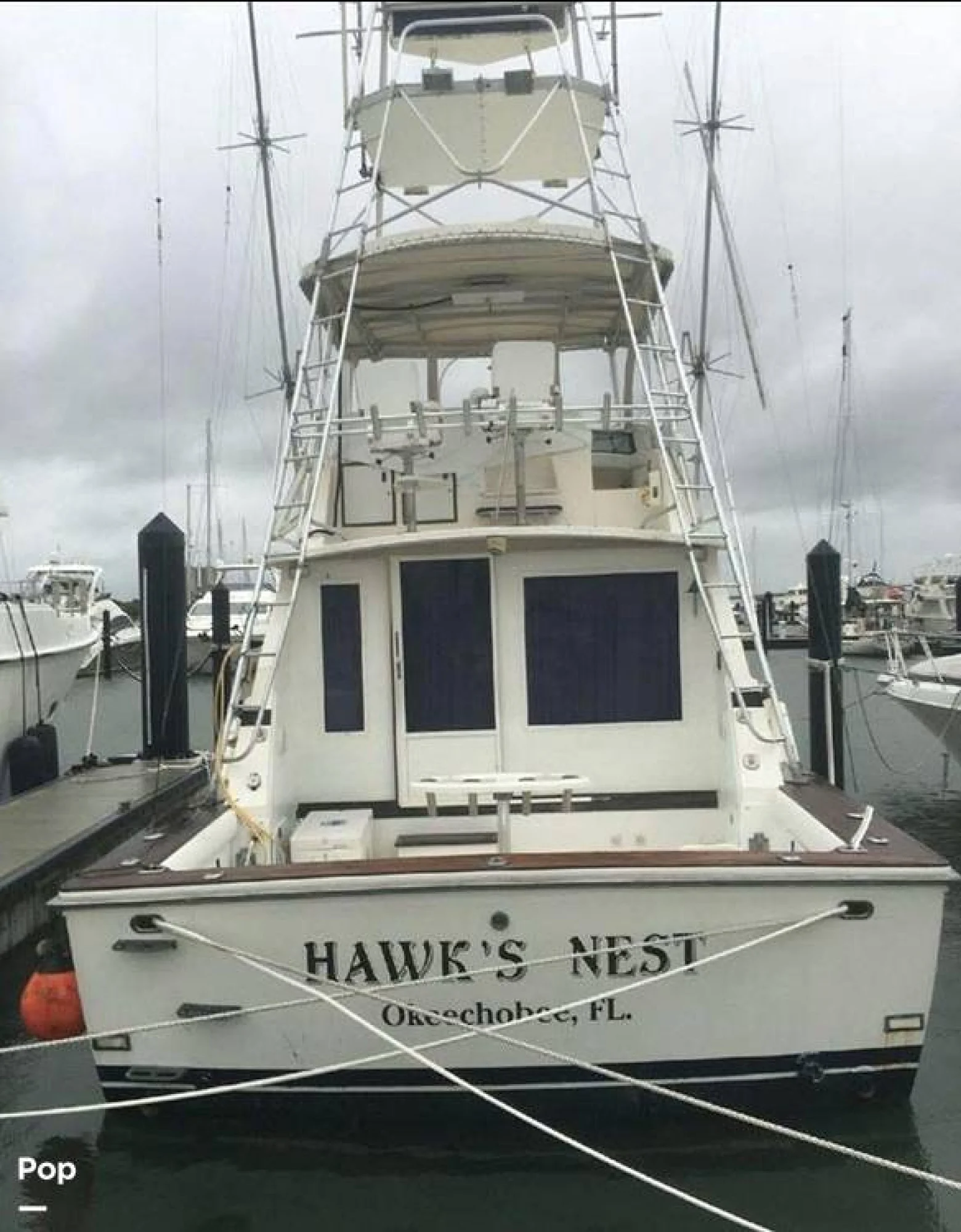 1981 Bertram 42 Sportfish - Image 3