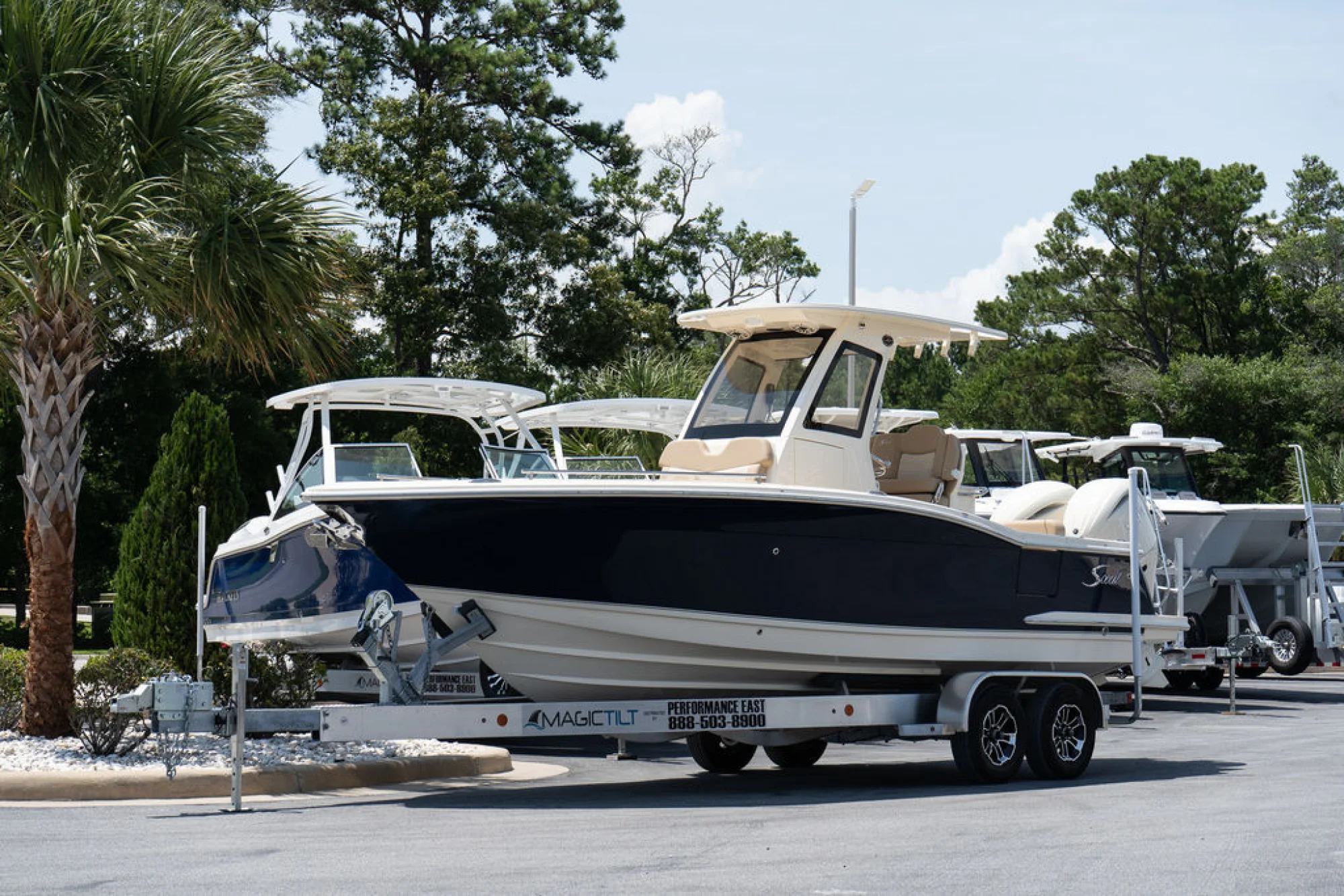 SCOUT 260 LXF - Image 2