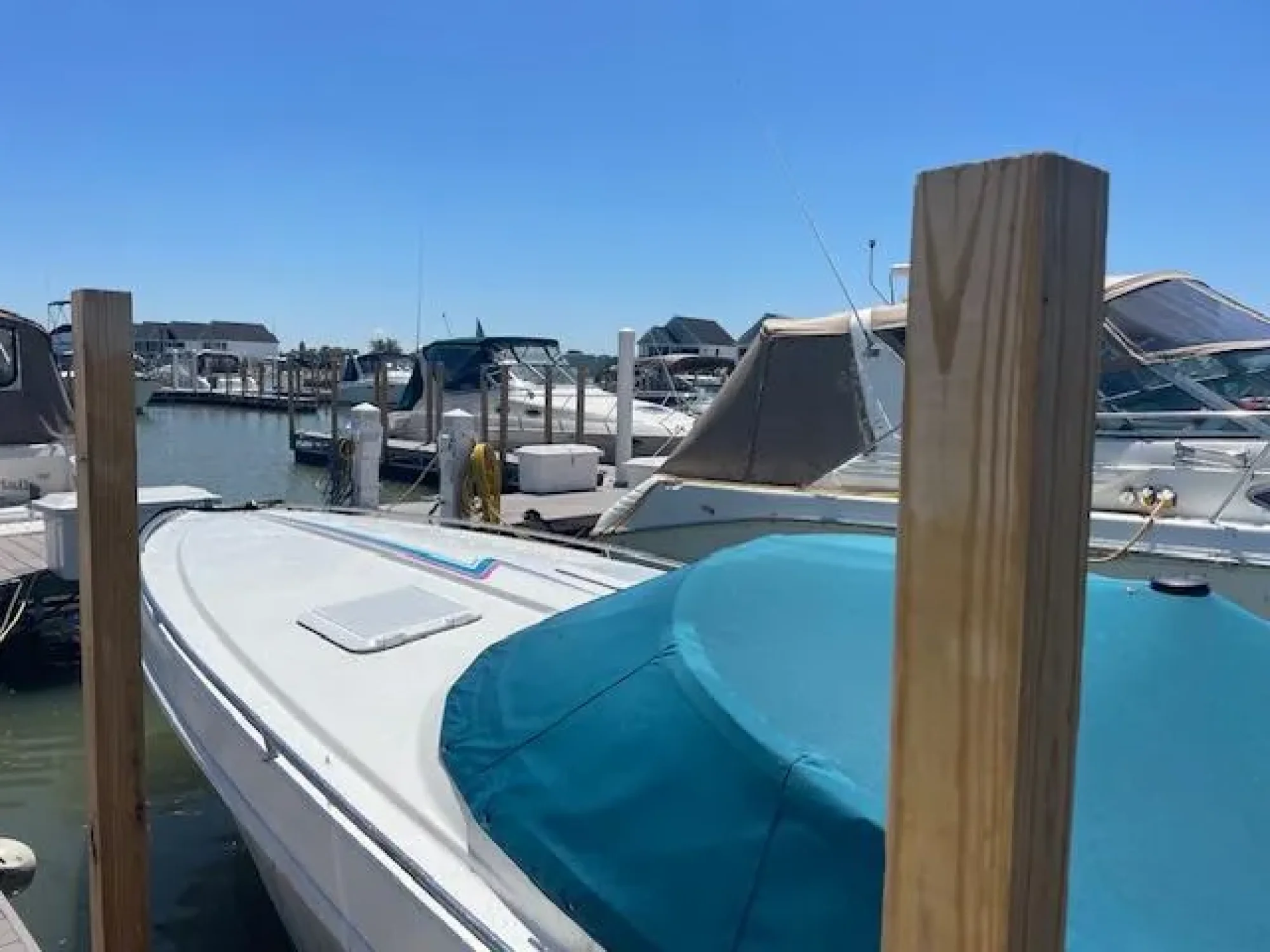 1993 Formula 303 SR-1 - Image 2