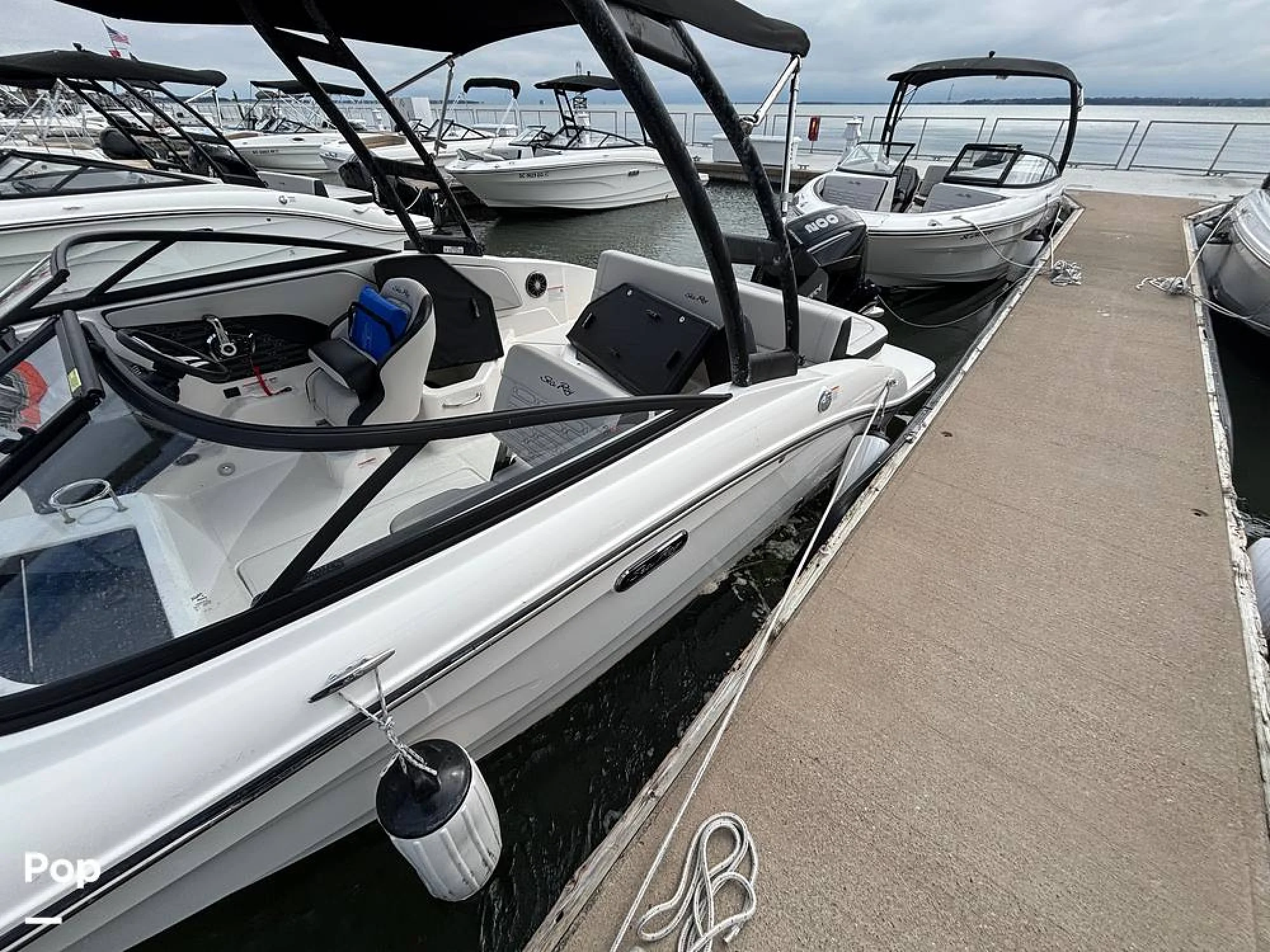 2025 Sea Ray SPX 210 OB - Image 5