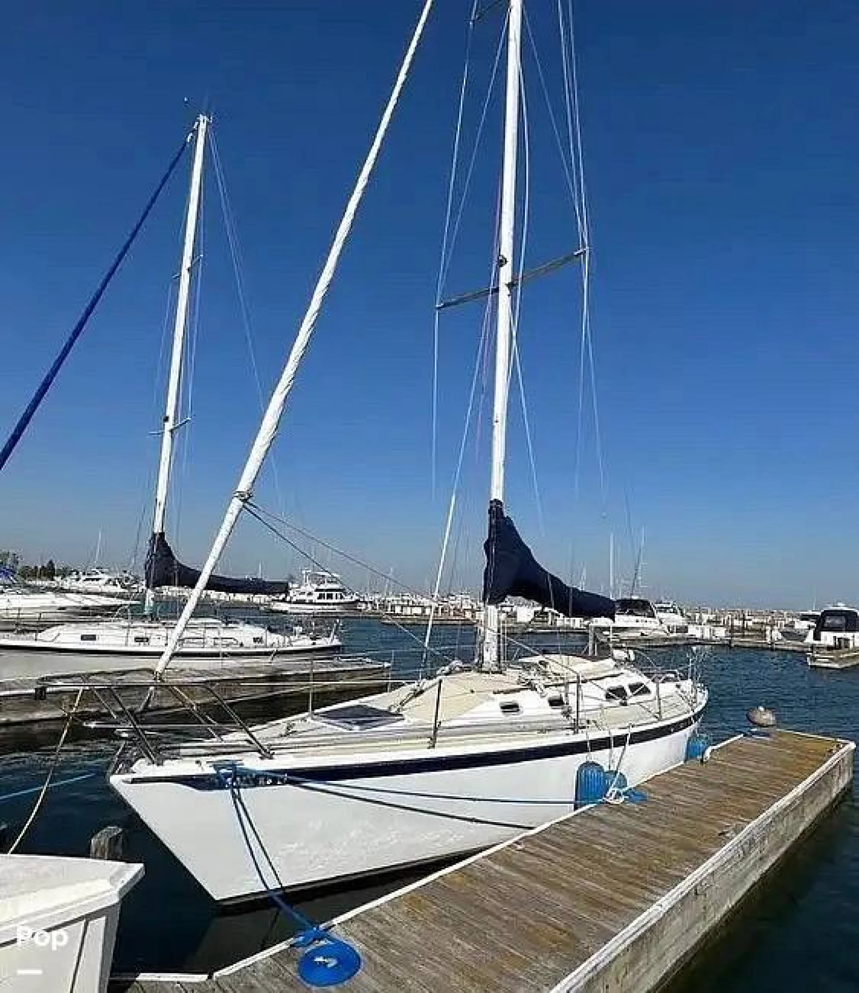 1982 Ericson Yachts 36 Ron Holland Edition - Image 2
