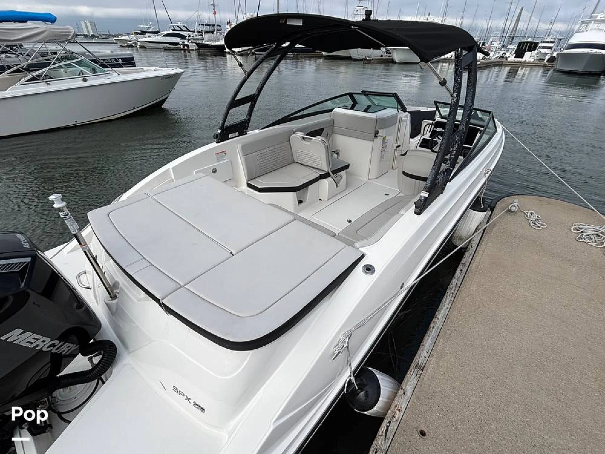 2025 Sea Ray SPX 230 OB - Main Image
