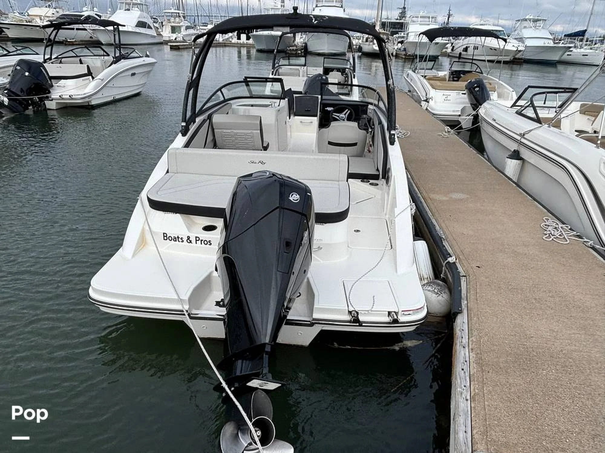 2025 Sea Ray SPX 210 OB - Image 2