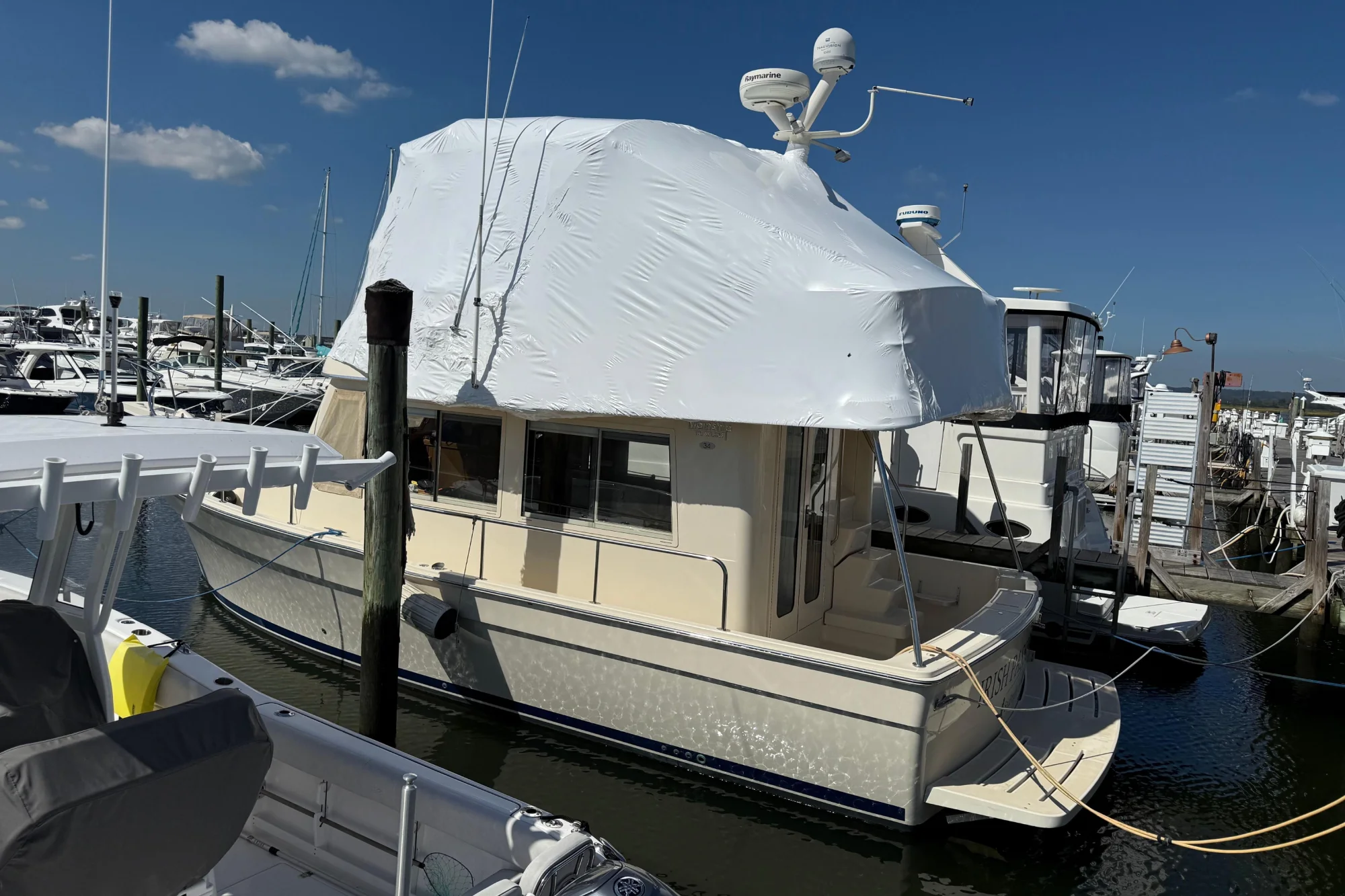 New arrival - Image 2