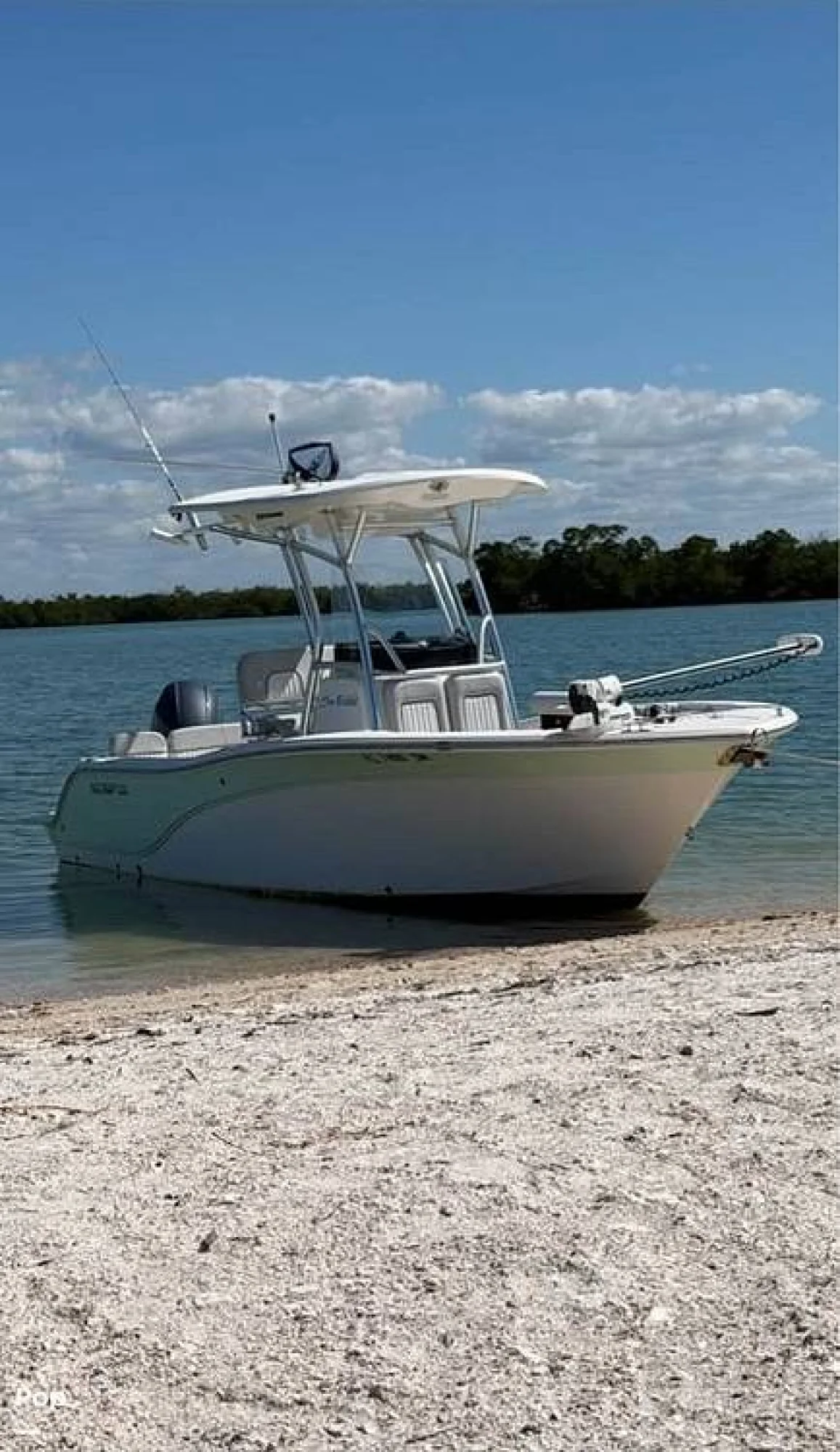 2019 Sea Fox 228 Commander - Image 2