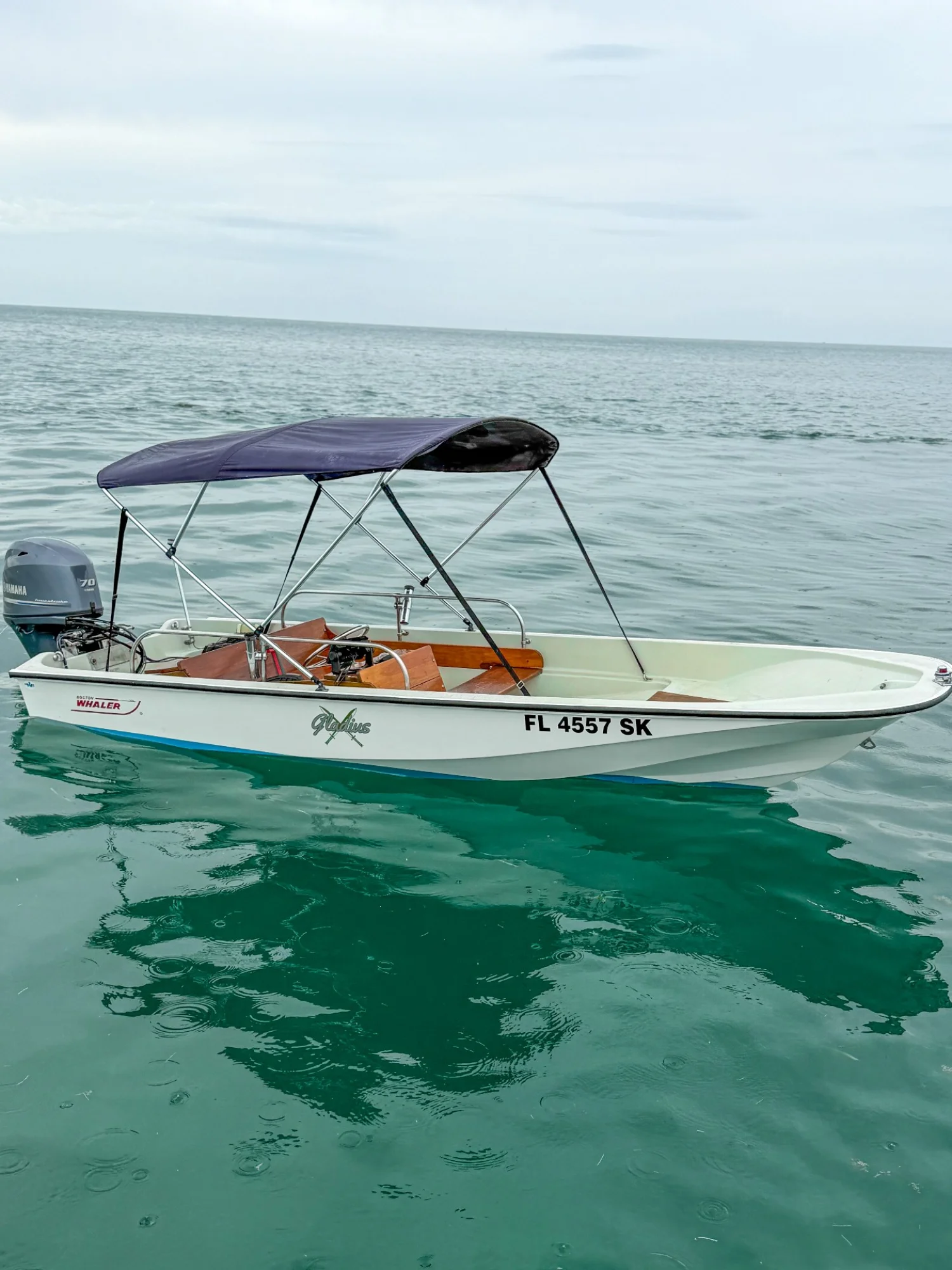 1983 Boston Whaler 15 - Image 2