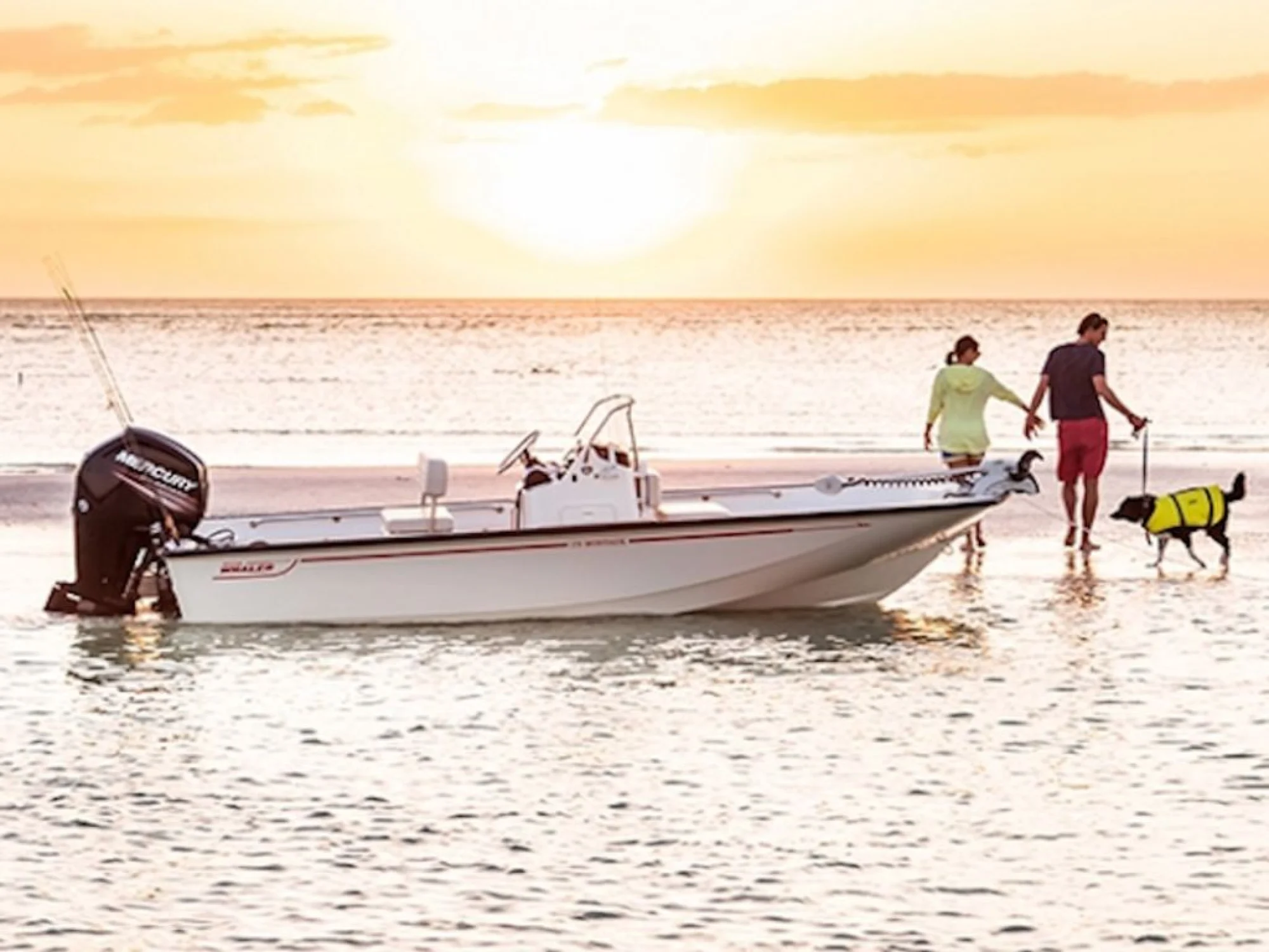 Boston Whaler 170 Montauk - Image 4
