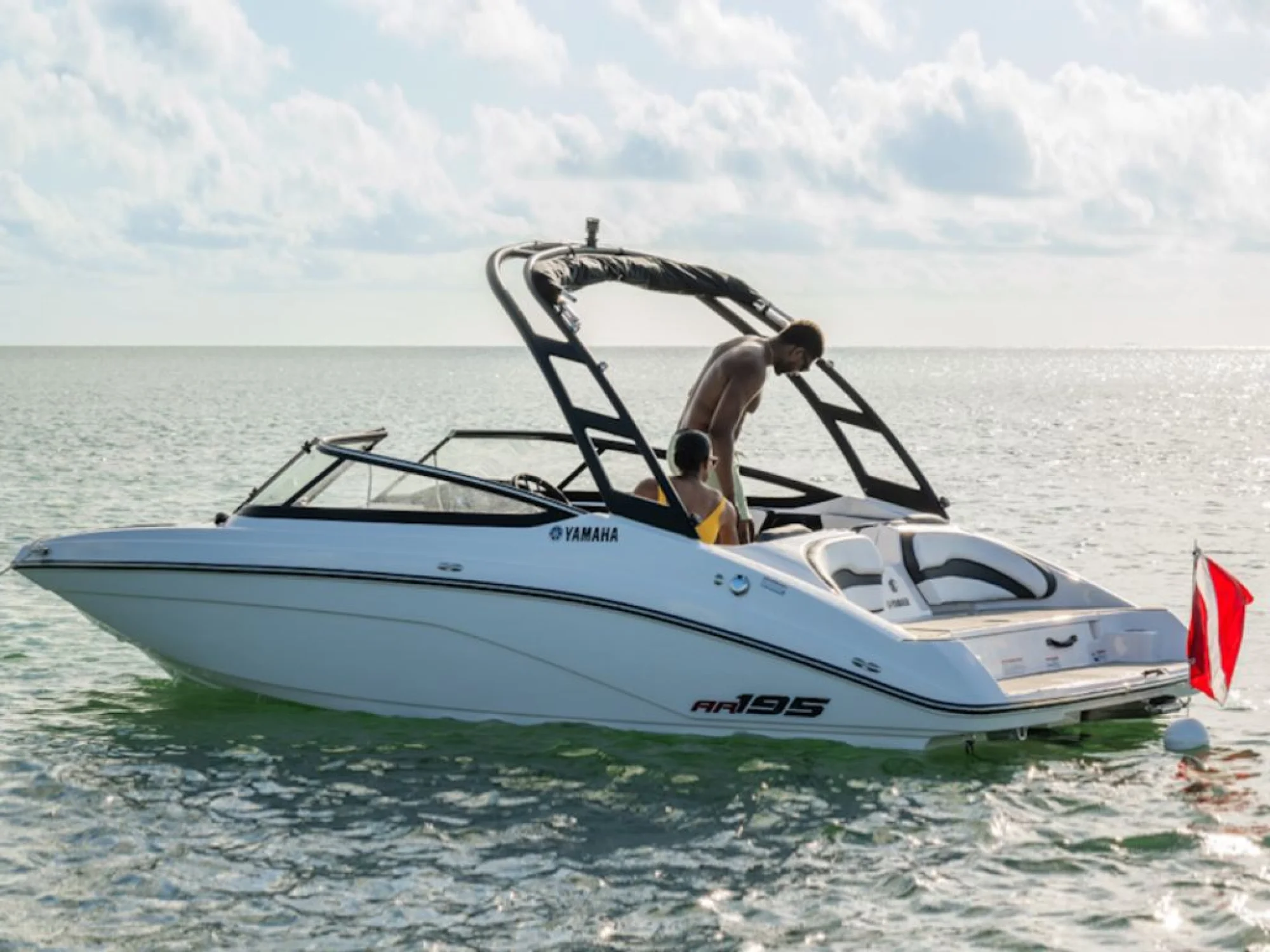 Yamaha Marine AR195 - Image 3