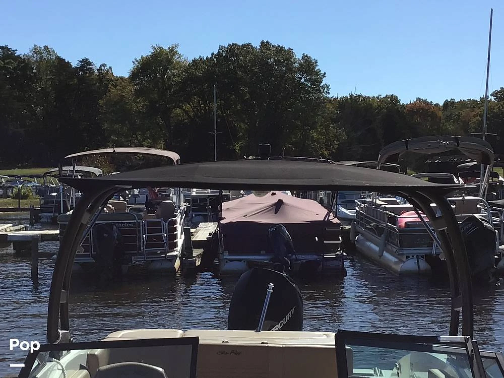 2023 Sea Ray 210 SPX OB - Image 5