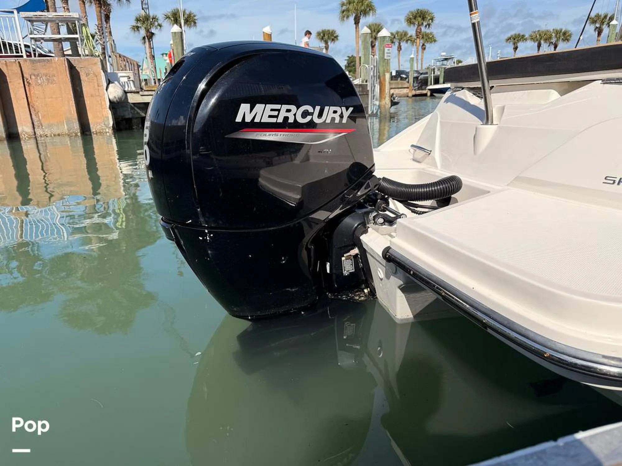 2024 Sea Ray 230 SPX OB - Image 4