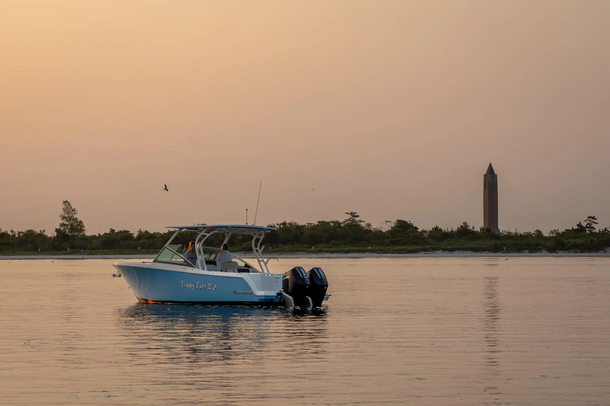 2024 Sailfish 276 DC - Image 4