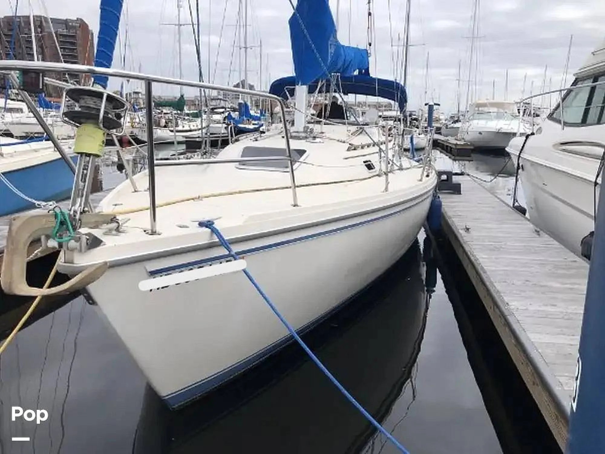1987 Catalina 36 - Image 4