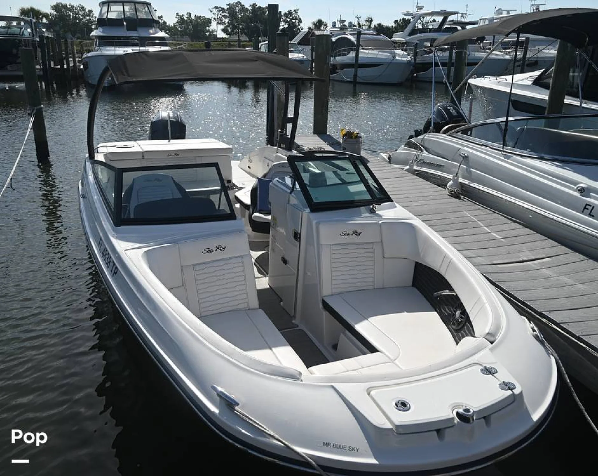 2024 Sea Ray SPX 230 - Image 5