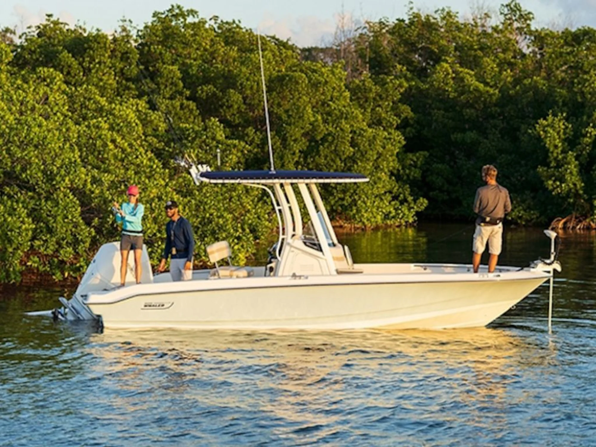 Boston Whaler 220 Dauntless - Image 3