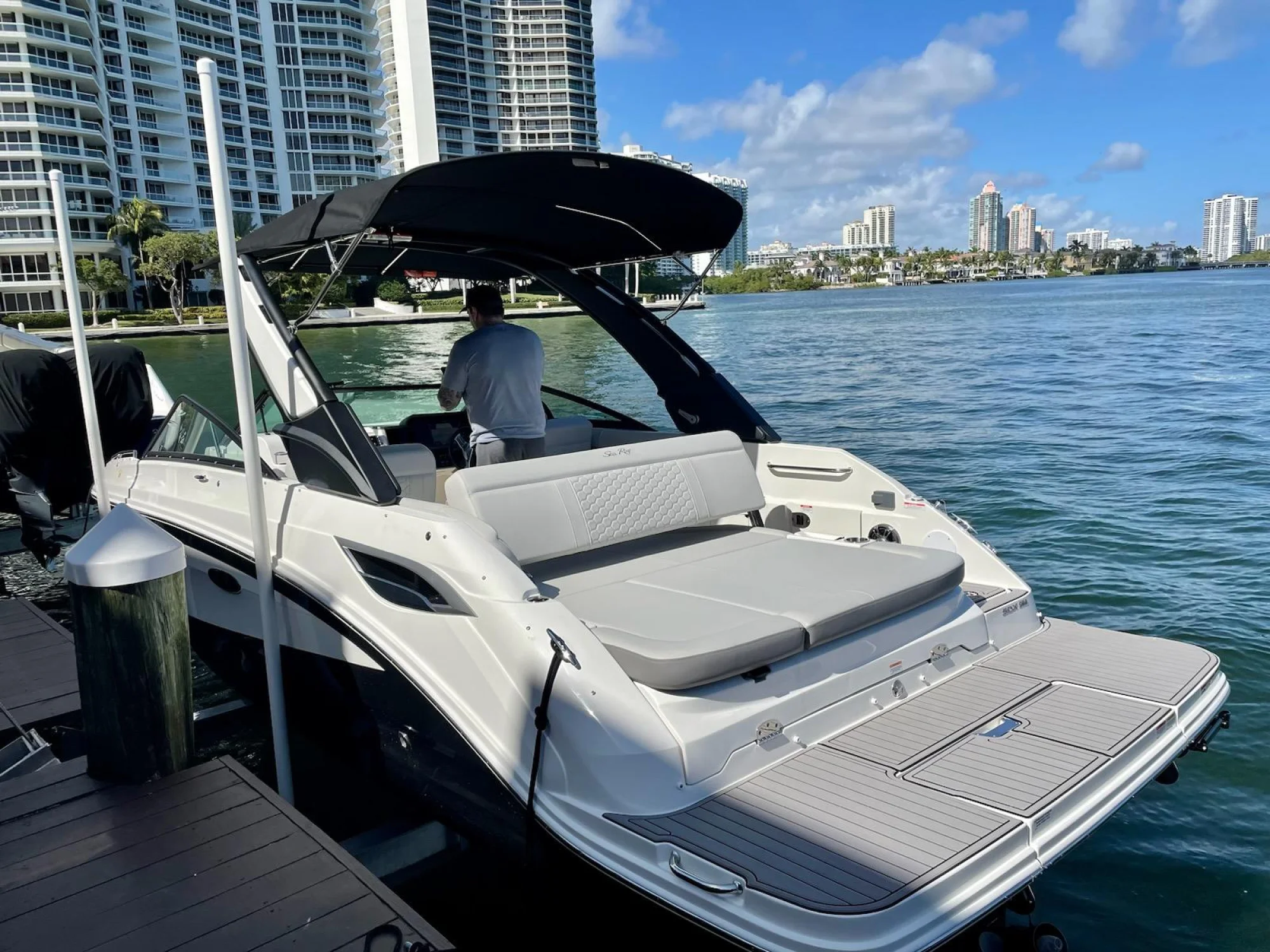 Sea Ray SDX 250 - Image 2